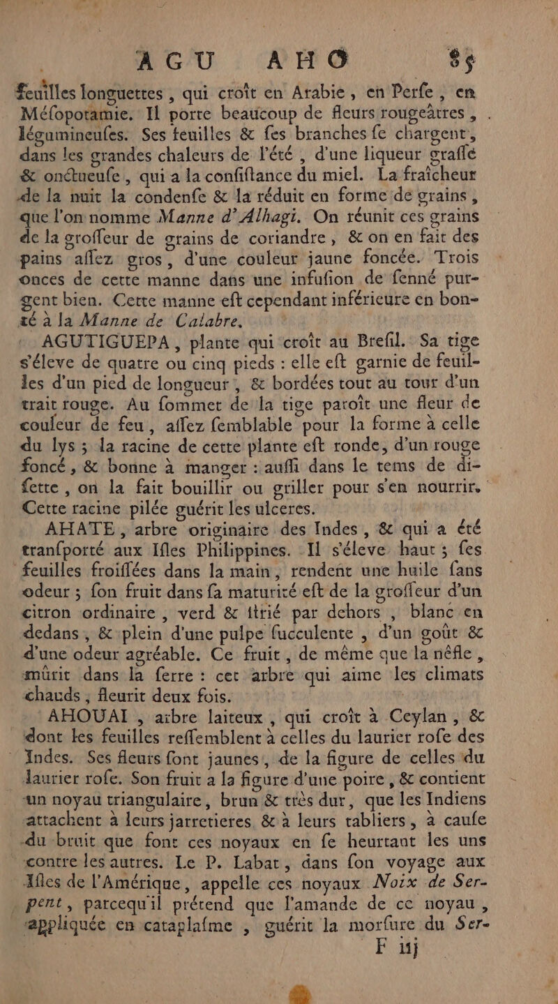 A GU AHG 86 feuilles longuettes , qui croît en Arabie, en Perfe, en Méfopotamie. Il porte beaucoup de fleurs rougeâtres , . légamineufes. Ses feuilles &amp; fes branches fe chargent, dans les grandes chaleurs de l'été , d’une liqueur graffé &amp; onctueufe, qui a la confiftance du miel. La fraîcheur de la nuit la condenfe &amp; la réduit en forme de grains, que l'onnomme Manne d’Alhagi. On réunit ces grains de la groffeur de grains de coriandre, &amp; on en fait des pains aflez gros, d'une couleur jaune foncée. Trois onces de cette manne dans une infufion de fenné pur- gent bien. Cette manne eft cependant inférieure en bon- té à la Manne de Calabre. : AGUTIGUEPA , plante qui croît au Brefil. Sa tige s'éleve de quatre ou cinq pieds : elle eft garnie de feuil- les d'un pied de longueur, &amp; bordées tout au tour d’un trait rouge. Au fommet de la tige paroïît une fleur de couleur de feu, affez femblable pour la forme à celle du lys ; la racine de cette plante eft ronde, d’un Se foncé , &amp; bonne à manger : aufli dans le tems de di- fette , on la fait bouillir ou griller pour s'en nourrir. Cette racine pilée guérit les ulceres. AHATE , arbre originaire des Indes, &amp; qui a été tran{porté aux Ifles Philippines. Il séleve haut; fes feuilles froiffées dans la main, rendent une huile fans odeur ; fon fruit dans fa maturité eft de la groffeur d’un citron ordinaire , verd &amp; trié par dchors , blanc en dedans , &amp; plein d'une pulpe fucculente , d’un goût &amp; d'une odeur agréable. Ce fruit, de même que la nêfle, mürit dans la ferre : cet arbre qui aime les climats <hauds ; fleurit deux fois. | AHOUAI , aïbre laiteux , qui croît à Ceylan, &amp; dont les feuilles reffemblent à celles du laurier rofe des Indes. Ses fleurs font jaunes, de la figure de celles du laurier rofe. Son fruit à la figure d’une poire , &amp; contient “un noyau triangulaire, brun &amp; très dur, que les Indiens attachent à leurs jarrctieres, &amp; à leurs tabliers, à caufe -du -bruit que font ces noyaux en fe heurtant les uns contre les autres. Le P. Labar, dans fon voyage aux Afles de l'Amérique, appelle ces noyaux Noix de Ser- » pent, parcequ'il prétend que l'amande de ce noyau , sæppliquée en cataglafme , guérit la morfure du Ser- » F4} RS