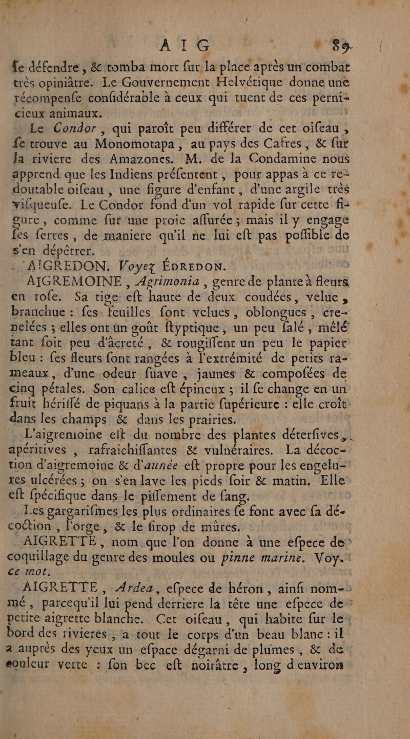 AIG ” S9- fe défendre, &amp;-tomba mort {ur la place après un combat très opimitre. Le Gouvernement Helvétique donne une récompenfe confdérable à ceux qui tuent de ces perni- cieux animaux. Le Condor , qui paroît peu différer de cet oifeau , fe trouve au Monomotapa, au pays des Cafres, &amp; fur Ja riviere des Amazones. M. de la Condamine nous apprend que les Indiens préfentent , pour appas à ce re- doutable oifeau , une figure d'enfant, d’une argile: très vifqueufe. Le Condor fond d'un vol rapide fur cette fi gure, comme fur une proie affurée ; mais il y engage fes ferrées, de maniere qu'il ne lui eft pas poffible de sen dépêtrer. | : 'AIGREDON. Voyez ÉDREDON. AIGREMOINE , Agrimonia , genre de plante à fleurs cn rofe. Sa tige eft haute de deux coudées, velue, branchue : fes. feuilles font velues, oblongues , cre— pelées ; elles ont un goût ftyprique , un peu falé , mêlé tant foit peu d'âcreté, &amp; rougiflent un peu le papier bleu : fes fleurs font rangées à l'extrémité de perits ra- meaux, d’une odeur fuave , jaunes &amp; compofées de cinq pétales. Son calice eft épineux ; il fe change en un fruit hériflé de piquans à la partie fapérieure :'elle croît. dans les champs &amp; dans les prairies. . L'aigremoine eit du nombre des plantes déterfives,, apéritives | rafraichiffantes &amp; vulnéraires. La décoc- tion d'aigremoine &amp; d'aunée eft propre pour les engelu- res ulcérées ; on s’en lave les pieds foir &amp; matin. Elle cft fpécifique dans le piffement de fang. PATAD Les gargarifmes les plus ordinaires fe font avec fa dé- coétion , l'orge, &amp; le firop dé mûres. AIGRETTE , nom que l’on donne à une efpece de” coquillage du genre des moules ou pinne marine. Voy. ce mot. | AIGRETTE , Ardez, efpece de héron , ainfi nom-: mé, parcequ'il lui pend derriere la tête une efpece de: petite aigrette blanche. Cer oifeau, qui habite fur le bord des rivieres , a tout le corps d’un beau blanc:il a auprès des yeux un efpace dégarni de plumes, &amp; de eoulcur verte : fon bec eft noirâtre , long d environ