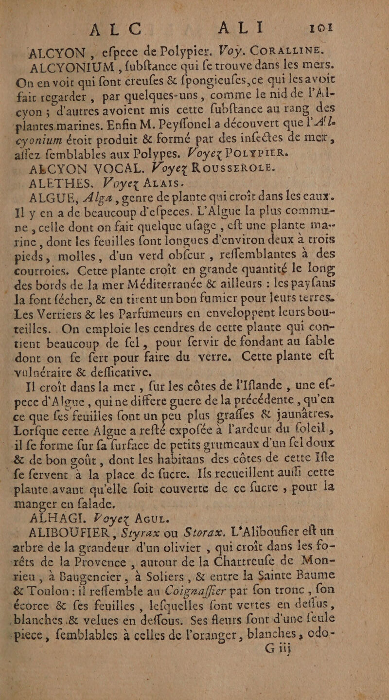 ARE: C' AUD 10 ALCYON , efpece de Polypier. Voy. CORALLINE. ALCYONIUM , fubftance qui fe trouve dans les mers. On en voit qui font creufes &amp; fpongieufes,ce qui lesavoit faic regarder , par quelques-uns, comme le nid de PAl- cyon ; d'autres avoient mis cette fubftance au rang des plantes marines. Enfin M. Peyffonel a découvert que l'Afle cyonium éroit produit &amp; formé par des infeétes de mer, alez {emblables aux Polypes. Voyez POLYPIER. AECYON VOCAL. Voyez ROUSSEROLE. ALETHES. Voyez ALAïs. ALGUE, A/ga , genre de plante qui croit dans les eaux. Il y en a de beaucoup d'efpeces. L’Algue la plus commu- ne , celle dont on fait quelque ufage , eft une plante ma rine , dont les feuilles font longues d'environ deux à trois pieds, molles, d'un verd obfcur , reffemblantes à des courroies. Cetre plante croît en grande quantité le long . des bords de la mer Méditerranée &amp; ailleurs : les paÿfans la font fécher, &amp; en tirent un bon fumier pour leurs terres. Les Verriers &amp; les Parfumeurs en enveloppent leurs bou- teilles. On emploie les cendres de cette plante qui con- tient beaucoup de fel, pour fervir de fondant au fable dont on fe fert pour faire du verre. Cette plante eft vulnéraire &amp; deflicative. Il croît dans la met , fur les côtes de l’Iflande , une ef- pece d'Algue, quine differe guere de la précédente , qu'en ce que fes feuilles font un peu plus graffes &amp; jaunâtres. Lorfque cette Algue a refté expofée à l’ardeur du foleil, il fe forme fur fa furface de petits grumeaux d'un fel doux &amp; de bon goût , dont Les habitans des côtes de cette Ile fe fervent à la place de fucre. Ils recucillent auili cette plante avant qu'elle foit couverte de ce fucre ; pour Îa manger en falade. MAR ALHAGI. Voyez AcuL. ALIBOUFIER, Sryrax ou Storax. L'Aliboufier elt un arbre de la grandeur d'un olivier , qui croît dans Îes fo- æêts de la Provence , autour de la Chartreufe de Mon- rieu , à Baugencier , à Soliers, &amp; entre la Sainte Baume &amp; Toulon: il reffemble au Coigsaffier par {on tronc , fon écorce &amp; fes feuilles , lefquelles font vertes en detfus, blanches &amp; velues en deffous. Ses fleurs font d'une feule piece, femblables à celles de l'oranger, blanches, odo-