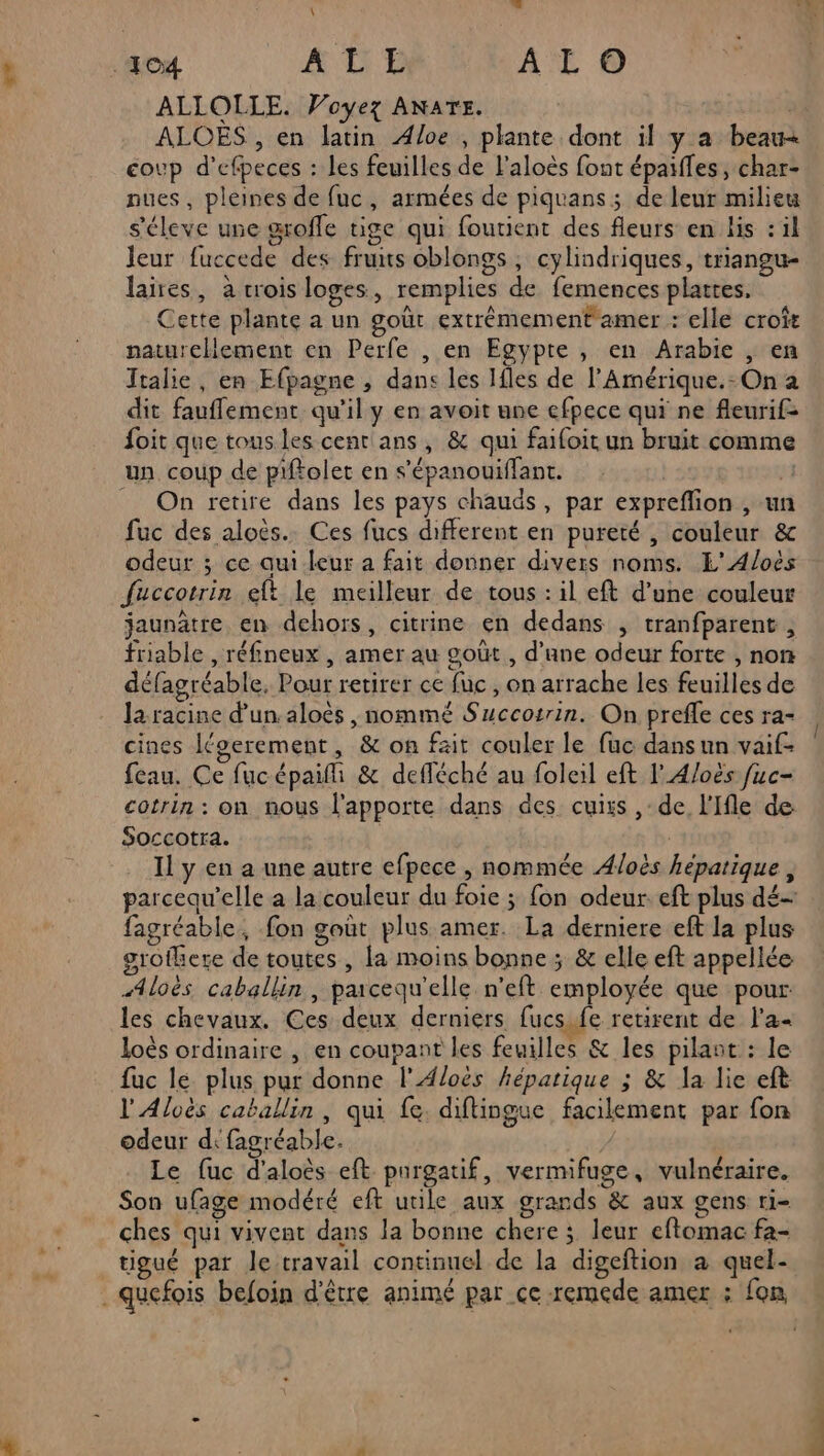 \ ALLOLLE. Voyez ANATE. ALOES , en latin Aloe , plante dont il y a beau coup d’efpeces : les feuilles de l’aloës font épaiffes , char- nues, pleines de fuc, armées de piquans; de leur milieu s'éleve une groffe tige qui foutient des fleurs en lis : il leur fuccede des fruits oblongs, cylindriques, triangu- laires, a crois loges, remplies de femences plates. Cette plante a un goùr extrêmement amer : elle croît naturellement en Perfe , en Egypte , en Arabie , en Italie, en Efpagne , dans les Ifles de l’Amérique.- On a dit fauflement qu'il y en avoit une efpece qui ne fleurif- foit que tous. les cent ans, &amp; qui faifoit un bruit comme un coup de piftolet en s’épanouiffant. | 33 _ On retire dans les pays chauds, par expreffion , un fuc des aloès.. Ces fucs different en pureté, couleur &amp; odeur ; ce qui leur a fait donner divers noms. L’A/oès fuccotrin eft le meilleur de tous : il eft d’une couleur jaunètre en dehors, citrine en dedans , tranfparent , friable , réfineux , amer au goût , d’une odeur forte , non défagréable, Pour retirer ce fuc , on arrache les feuilles de la racine d’un: aloès ,nommé Succosrin. On prefle ces ra- cines Koerement, &amp; on fait couler le fuc dans un vaif- feau. Ce fucépaifi &amp; defféché au foleil eft lA/oës fuc- cotrin : on nous l'apporte dans des cuirs , de l'Ifle de Soccotra. | Il y en a une autre efpece , nommée A/oès hépatique, parcequ'elle a la couleur du foie ; fon odeur: eft plus dé- fagréable, fon goùt plus amer. La derniere eft la plus grotkere de toutes , la moins bonne; &amp; elle eft appellée Aloës caballin, parcequ'elle n’eft employée que pour. les chevaux. Ces deux derniers fucs fe retirent de l'a« loës ordinaire , en coupant les feuilles &amp; les pilant : le fac lé plus pur donne l'Aloës hépatique ; &amp; la lie eft l'Aloës caballin, qui fe. diftingue facilement par fon odeur d fagréable. Le fuc d'aloès eft pargatif, vermifuge, vulnéraire. Son ufage modéré eft utile aux grands &amp; aux gens ri- ches qui vivent dans la bonne chere ; leur eftomac fa- tigué par Je travail continuel de la digeftion a quel- _quefois befoin d'être animé par ce remede amer : fon