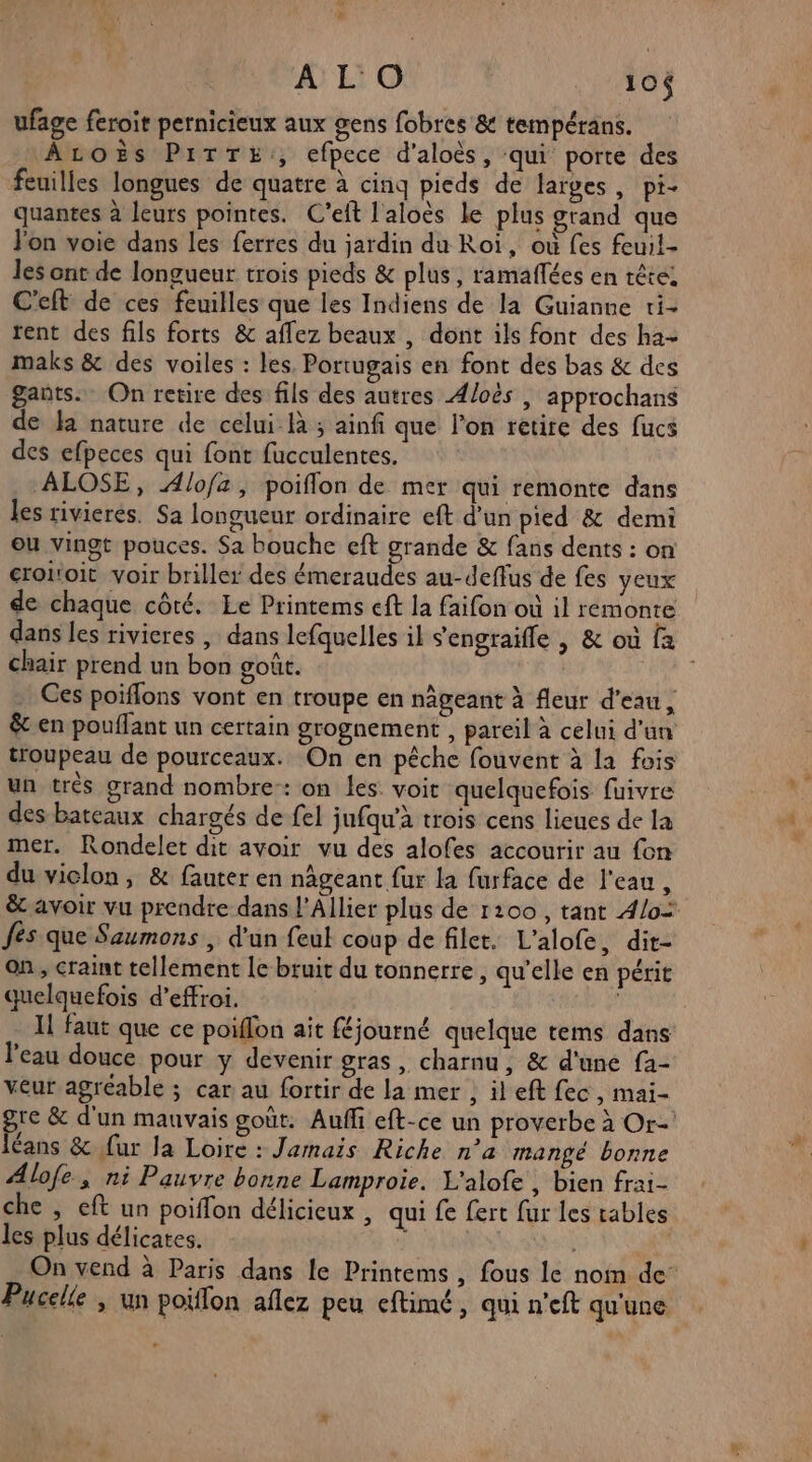 «* N AL O 10 ufage feroit pernicieux aux gens fobres &amp; tempérans. ÂALOËSs PrTTE:, efpece d'aloès, qui porte des feuilles longues de quatre à cinq pieds de larges , pi- quantes à leurs pointes. C’eft l'aloès le plus grand que l'on voie dans les ferres du jardin du Roi, où fes feuil- les ont de longueur trois pieds &amp; plus, ramaflées en tête C'eft de ces feuilles que les Indiens de la Guianne ti- rent des fils forts &amp; affez beaux , dont ils font des ha- maks &amp; des voiles : les. Portugais en font des bas &amp; des gants. On retire des fils des autres Æ/oës | approchans de Ja nature de celui À ; ainfi que lon retire des fucs des efpeces qui font fucculentes, ALOSE, Alo/a, poiflon de mer qui remonte dans les rivierés. Sa longueur ordinaire eft d’un pied &amp; demi ou vingt pouces. Sa bouche eft grande &amp; fans dents : on croitoit voir briller des émeraudes au-deffus de fes yeux de chaque côté. Le Printems eft la faifon où il remonte dans les rivieres | dans lefquelles il s'engraifle , &amp; où fa chair prend un bon goût. | Ces poiflons vont en troupe en nägeant à fleur d’eau, &amp;cen pouffant un certain grognement , pareil à celui d'un troupeau de pourceaux. On en pêche fouvent à la fois un trés grand nombre: on les voit quelquefois fuivre des bateaux chargés de fel jufqu’à trois cens lieues de la mer. Rondelet dit avoir vu des alofes accourir au fon du viclon, &amp; fauter en nâgeant fur la furface de l'eau, ë&amp;t avoir vu prendre dans l'Allier plus de 1100, tant 4/0 fes que Saumons , d’un feul coup de filet. L'alofe, dit- on , craint tellement le bruit du tonnerre, qu'elle en périt quelquefois d’effroi. | Il faut que ce poiffon ait féjourné quelque tems dans l’eau douce pour y devenir gras , charnu, &amp; d'une fa- veur agréable ; car au fortir de la mer , ileft fec , mai- gre &amp; d'un mauvais goût. Auffi eft-ce un proverbe à Or- léans &amp; fur la Loire : Jamais Riche n’a mangé bonne Alofe, ni Pauvre bonne Lamproie. L'alofe , bien frai- che, eft un poiffon délicieux , qui fe fert fur les tables les plus délicates. | On vend à Paris dans le Printems , fous le noin de’ Pucelle ; un poiffon aflez peu eftimé, qui n'eft qu'une