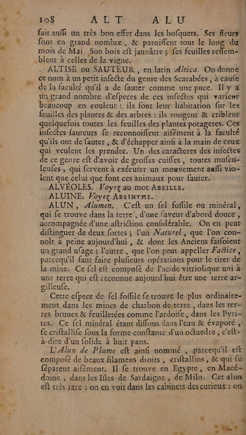 108 À LA NEU fait auf un très bon effet dans les bofquets. Ses fleurs font en grand nombre, &amp; paroiffent tour le long du mois de Mai Son bois eft jaunâtre ; fes feuilles reflem- ALTISE ou SAUTEUR , en latin A/rica. On donne ce nom à un petit infecte du genre des Scarabées , à caufe de Ja faculté qu'il a de fauter comme une puce. Il y a un grand nombre d'efpeces de ces infeétes qui varient beaucoup en couleur : ils font leur habitation fur les feuilles des plantes &amp; des arbres : ils rongent &amp; criblent quelquefois routes les feuilles des plantes porageres. Ces infeétes fauteurs fe reconnoiflent aifément à la faculté qu'ils ont de fauter , &amp; d'échapper ainfi à la main de ceux qui veulent les prendre. Un des caracteres des infectes de ce genre eff d’avoir de groffes cuiffes, toutes mufcu- leufes , qui fervent à exécuter un mouvement asfli vio- . lent que celui que font ces animaux pour fauter. ALVÉOLES. Voyez au mot ABEILLE. ALUINE. Voyez ABSINTHE. ALUN , Alumen. C'eft un fel foflile ou minéral, qui fe trouve dans la terre’, d’une faveur d’abord douce , accompagnée d’une aftriction confidérable. On en peut diftinguer de deux fortes ; l'un Varurel, que l'on con- noît à peine aujourd'hui, &amp; dont les Anciens faifoient un grand ufage ; l’autre , que l’on peut appeller Faékice, parcequ'il faut faire plufieurs opérations pour le tirer de la mine. Ce {el eft compofé de l'acide vitriolique uni à une terre qui eft réconnue aujourd'hui être une terre ar- gilleufe. Cette efpece de fel foffile fe trouve le plus ordinaire- ment dans les mines de charbon desterre , dans les rer=: res brunes &amp; feuillerées comme l’ardoife, dans les Pyri- tes. Ce fel minéral étant diffous dans l'eau &amp; évaporé , fe cniftalkife fous la forme conftante d'un oétaedre, c’eft- a-dire d’un folide à huit pans. ; L'Alun de Plume eft ginfi nommé , .parcequ'il eft compolé de beaux filamens droits, criftallins , &amp; qui fe: féparent aifément. Il fe trouve en Egypte, en Macé- doine , dans les Ifles de Sardaigne , de Milo. Cet alua eft très rare : on en voit dans les cabinets des curieux : one