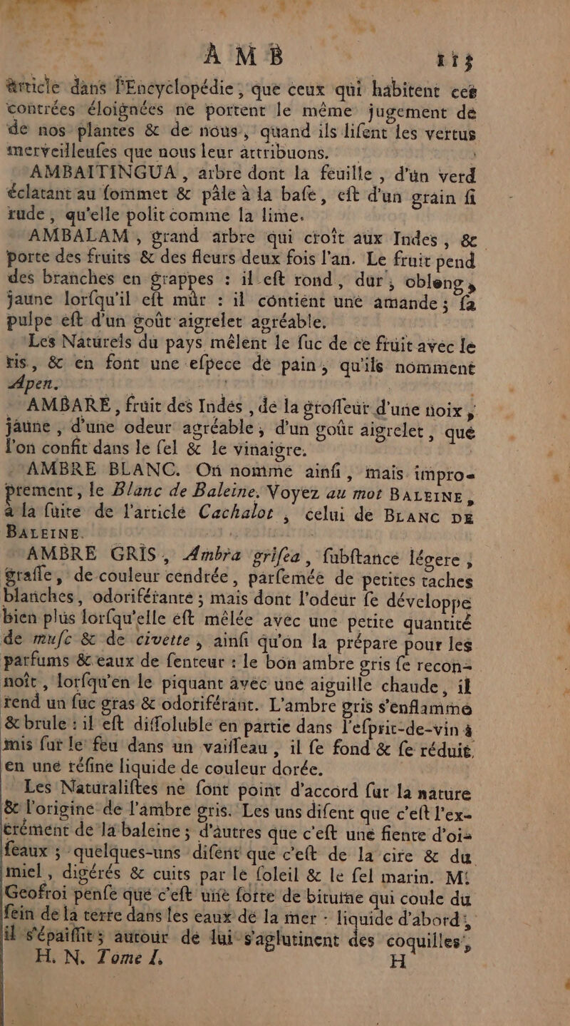 vor À MB ti} rricle dans fEncyclopédie ; que ceux qui habitent ces contrées éloignées ne portent le même jugement de de nos plantes & de nous, quand ils lifent les vertus merveilleufes que nous leur artribuons. : AMBAITINGUA , arbre dont la feuille , d’un verd éclatant au fommet & pâle à la bafe, eft d'un grain fi rude , qu'elle polit comme la lime. AMBALAM , grand arbre qui croît aux Indes, & porte des fruits & des fleurs deux fois l'an. Le fruit pend des branches en grappes : il_eft rond, dur, obleng, jaune lorfqu'il eft mür : il contient une amande; fa pulpe eft d’un goût aigrelet agréable. 1 Les Naturels du pays mêlent le fuc de ce fruit avec le ris, & en font une efpece de pain, qu'ils nomment Apen. qte ren | AMBARE , fruit des Indés , dé la groffeur d'une noix , jaune , d’une odeur agréable ; d’un goût aigrelet, qué l'on confit dans le (el & le vinaigre. AMBRE BLANC. On nomme ainfi, mais impro= premenr, le Blanc de Baleine. Voyez au mot Baruine à à la füite de l'articlé Cachalor | celui de BLanc D& BALEINE. LUE AMBRE GRIS, Ambra grifea, fubftance légere , grafle, de couleur cendrée, parfemée de peites taches blanches, odoriféiantée ; mais dont l'odeur fe développe bien plüs lorfqu'elle éft mêlée avéc une petite quantité de mufc & de civerte, ainfi qu'on la prépare pour les parfums & eaux de fenteur : le bôn ambre gris fe recon= noît , lorfqu'en le piquant avec une aiguille chaude, il tend un fuc gras & odoriférant. L'ambre gris s'enflammé & brule : il eft diffoluble en partie dans l'efprit-de-vin à mis fur le: feu dans un vaifleau , il fe fond & fe réduit en uné téfine liquide de couleur dorée. Les Naturaliftes ne font point d'accord fur la nature & l'origine de l'ambre gris. Les uns difent que c’eft l'ex- crément de la baleine ; d’autres que c’eft une fiente d’oiz feaux ; quelques-uns difent que c’elt de la cire & du miel, digérés & cuits par lé foleil & le fel marin. M: Geofroi pénfe que c'eft ui forte de bitutne qui coule du fein de la térre dans les eaux dé la mer : liquide d'abord, il s'épaifit; autour de lui S'aglutinent des coquilles!