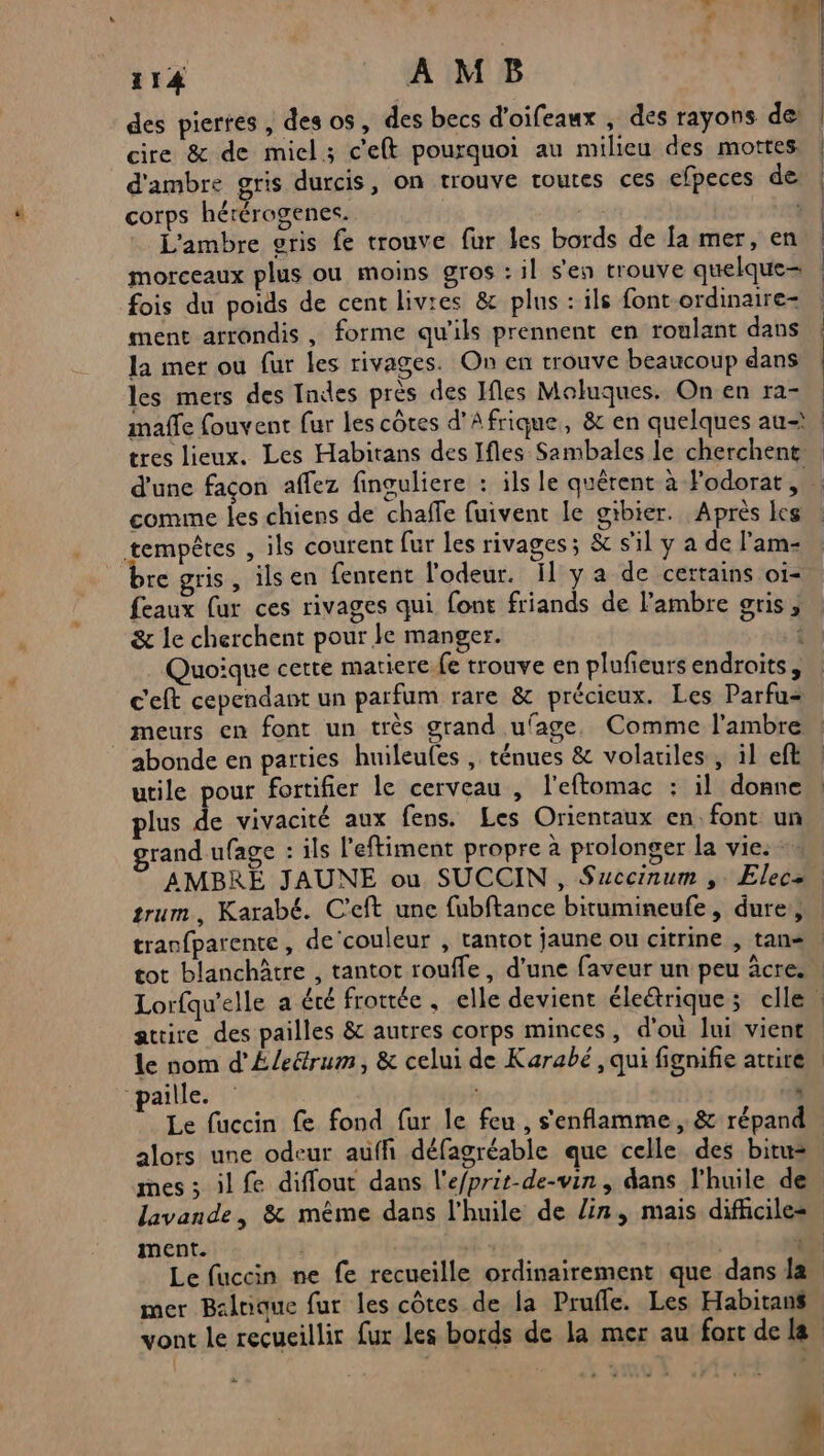 1, D 114 AMB a des pierres , des os, des becs d'oifeaux , des rayons de cire &amp; de miel; c'elt pourquoi au milieu des mottes d'ambre gris durcis, on trouve toutes ces efpeces de corps hérérogenes. . L'ambre eris fe trouve fur les bords de [a mer, en. morceaux plus ou moins gros : il s'en trouve quelque- fois du poids de cent livres &amp; plus : ils fontordinaire- ment arrondis , forme qu'ils prennent en roulant dans la mer ou fur les rivages. On en trouve beaucoup dans les mers des Indes près des Ifles Moluques. On en ra- maffe fouvent fur les côtes d'Afrique, &amp; en quelques au-\ tres lieux. Les Habitans des Ifles Sambales le cherchent d'une façon affez finguliere : ils le quêrent à Fodorat , … comme les chiens de chaffe fuivent le gibier. Après les tempêtes , ils courent fur les rivages; &amp; s'il y a de l'am- re gris, ils en fenrent l'odeur. il y a de certains oi- feaux fur ces rivages qui font friands de l’ambre gris; e] &amp; le cherchent pour Je manger. Quoique cette matiere.fe trouve en plufeurs endroits, c'eft cependant un parfum rare &amp; précieux. Les Parfu= _ meurs en font un très grand ufage, Comme l'ambre abonde en parties huileufes , ténues &amp; volatiles, il eft utile pour fortifier le cerveau , l'eftomac : il donne plus de vivacité aux fens. Les Orientaux en font un grand ufage : ils l'eftiment propre à prolonger la vie. AMBRÉ JAUNE ou SUCCIN , Succinum ,. Elec trum, Karabé. C'eft une fubftance bitumineufe , dure, | tranfparente , de ‘couleur , tantot jaune ou citrine , tan tot blanchtre , tantot rouffle, d'une faveur un peu âcre.… Lorfqu'elle a été frottée , elle devient éleétrique; clle. attire des pailles &amp; autres corps minces, d'où lui vient le nom d'Éle&amp;rum, &amp; celui de Karabé, qui fignifie atrire “paille. 4 Le fuccin fe fond fur le feu , s'enflamme, &amp; répand alors une odeur auffi défagréable que celle des bitu= mes ; il fe diffout dans l'efprit-de-vin, dans l'huile de lavande, &amp; mème dans l’huile de lin, mais difhciles ment. pis | 42 Le fuccin ne fe recueille ordinairement que dans la mer Balnque fur les côtes de la Pruffe. Les Habitans vont le recueillir fur Les bords de la mer au fort de la #