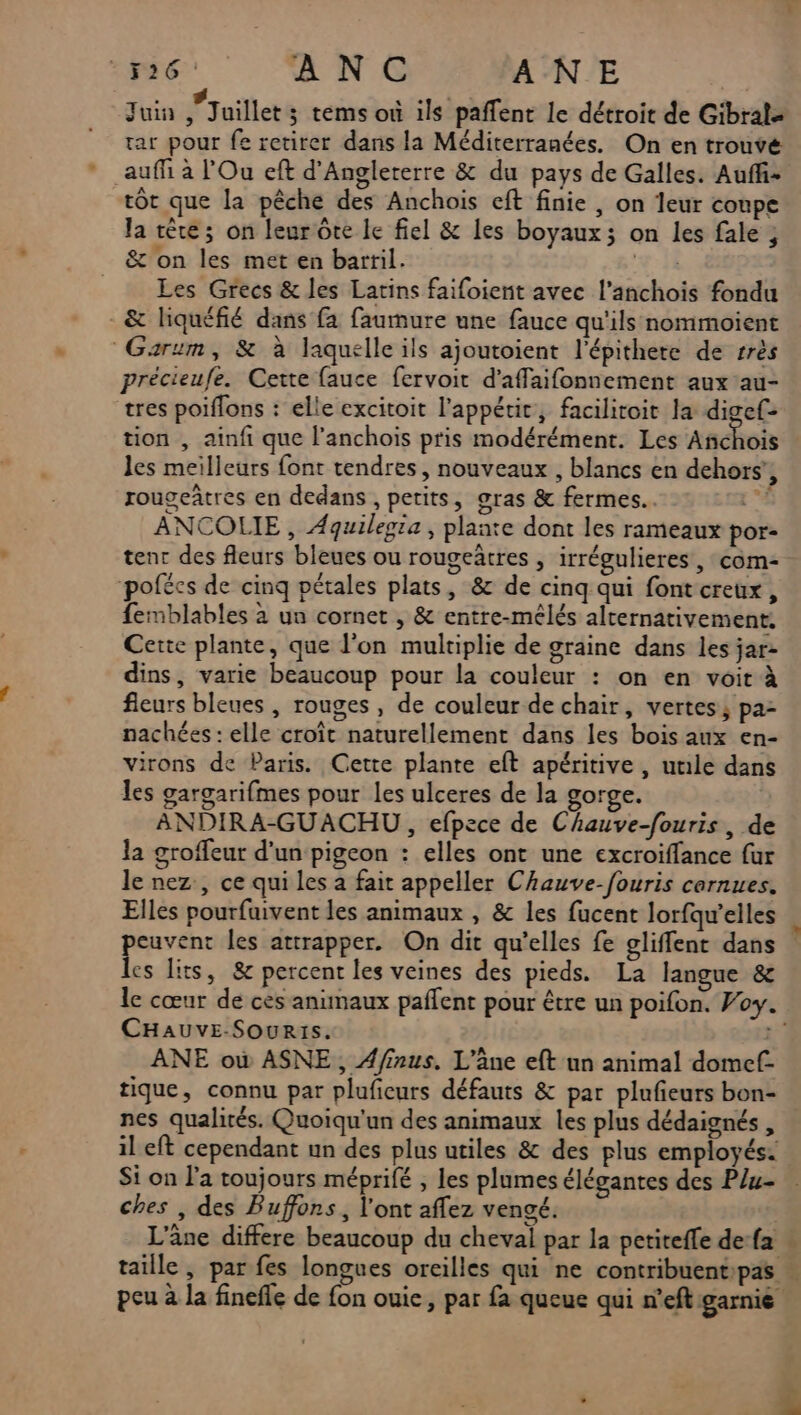 526: ANC ANE Juin #3 uillet ; tems où ils paffent le détroit de Gibrale rar pour fe retirer dans la Méditerranées. On en trouvé auffi à l’Ou eft d’Anglererre &amp; du pays de Galles. Auff- tôt que la pêche des Anchois eft finie , on 1eur coupe la ère; on leur ôte le fiel &amp; Îles boyaux; on les fale ; &amp; on les met en bartil. AR Les Grecs &amp; les Latins faifoient avec l’anchois fondu -&amp; hiquéfié dans fa faumure une fauce qu'ils nommoient Garum, &amp; à laquelle ils ajoutoient l'épithete de rrès précieufe. Cette fauce fervoit d'affaifonnement aux 'au- tres poiflons : elle excitoit l'appétit, facilitoit la digef: tion , ainfi que l’anchois pris modérément. Les Añchois les meilleurs font tendres, nouveaux , blancs en dehors rougeâtres en dedans , petits, gras &amp; fermes. | ANCOLIE , Aquilegta , plante dont les rameaux por- tenc des fleurs bleues ou rougeätres , irrégulieres , com- pofécs de cinq pétales plats, &amp; de cinq qui font creux, femblables à un cornet , &amp; entre-mélés alternativement. Cette plante, que l'on multiplie de graine dans les jar- dins, varie beaucoup pour la couleur : on en voit à fleurs bleues , rouges , de couleur de chair, vertes; pa- nachées : elle croît naturellement dans les bois aux en- virons de Paris. Cette plante eft apéritive, uule dans les gargarifmes pour les ulceres de la gorge. | ANDIRA-GUACHU , efpece de Chauve-fouris, de la groffeur d'un pigeon : elles ont une excroiffance fur le nez, ce qui les a fait appeller Chauve-fouris carnues. Elles pourfuivent les animaux , &amp; les fucent lorfqu'elles peuvent les attrapper. On dit qu’elles fe gliffent dans les lits, &amp; percent les veines des pieds. La langue &amp; ? CHAUVE-SOURIS. | ANE où ASNE, A/finus. L’âne eft un animal domef- tique, connu par pluficurs défauts &amp; par plufeurs bon- nes qualités. Quoiqu'un des animaux les plus dédaignés , il eft cependant un des plus utiles &amp; des plus employés: Si on l’a toujours méprifé , les plumes élégantes des Plu- ches , des Buffons, l'ont affez vengé. =