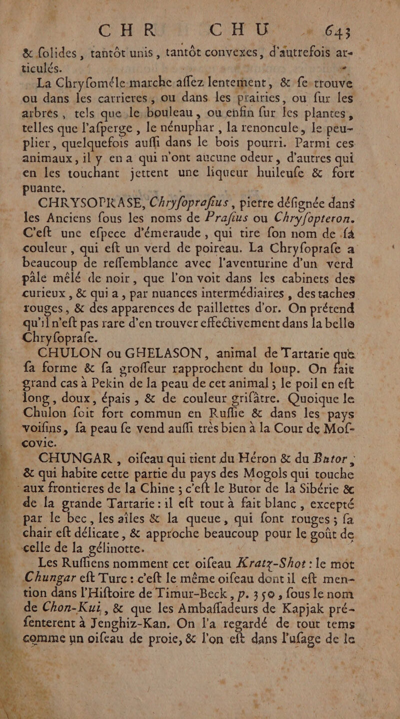 & folides, tantôt unis, tantôt convexes, d'autrefois ar ticulés. æ La Chryfoméle-marche.aflez lentement, & fe.rrouve ou dans les carrieres, ou dans les prairies, ou fur les arbrés, tels que le bouleau, ou enfin fur les plantes, telles que l'afperge , le nénuphar , la renoncule, le peu- plier, quelquefois aufli dans le bois pourri. Parmi ces animaux, il y en a qui n'ont aucune odeur, d’autres qui en les touchant jettent une liqueur huileufe & fort puante. Lie CHRYSOPRASE, Chryfoprafius , pierre défignée dans les Anciens fous les noms de Prafius ou Chryfopteron. C'eft une efpece d'émeraude, qui tire fon nom de .f4 couleur , qui eft un verd de poireau. La Chryfoprafe a beaucoup de reffemblance avec l'aventurine d’un verd pale mêlé de noir, que l’on voit dans les cabinets des curieux , & qui a, par nuances intermédiaires , destaches rouges, & des apparences de paillettes d'or. On prétend Chryfoprafe. CHULON ou GHELASON, animal de Tartarie que. fa forme & fa groffeur rapprochent du loup. On fait long, doux, épais , & de couleur grifâtre. Quoique le Chulon foit fort commun en Ruflie & dans les pays voifins, fa peau fe vend auffi trés bien à la Cour de Mof- CHUNGAR , oifeau qui tient du Héron & du Bator , de la grande Tartarie : 1l eft tout à fait blanc, excepté celle de la gélinotte. Les Rufliens nomment cet oifeau Xratz-Shot : le mot Chungar eft Turc : c’eft le même oifeau dont il eft men- tion dans l'Hiftoire de Timur-Beck, p. 350 , fous le nom de Chon-Kui, & que les Ambaffladeurs de Kapjak pré- fenterent à Jenghiz-Kan. On l'a regardé de tout tems