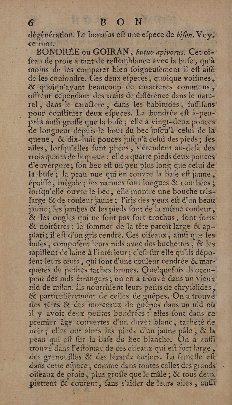 dégénération. Le bonafus eft une efpece de Bifon. Voy: ce mot. 4 BONDRÉE ou GOIRAN , Eutuo apivorus. Cet oi= feau de proie a tant'de reflemblance avec la bufe, qu’à moins de les comparer bien foigneufement il eft aife de les confondre. Ces deux efpeces, quoique voifines, &amp; quoiqu’ayant beaucoup de caraéteres communs, offrent cependant des traits de différence dans le natu- rel, dans lé caratere, dans les habitudes, fufifans pour conftituer deux efpeces. La bondrée eft à-peu- près aufli grofle que la bufe; elle a vingt-deux pouces de longueur dépuisile bout du bec jufqu’à celui de la queue, &amp; dix-huit pouces jufqu’à cehu des pieds; fes ailes, lorfqu’elles font pliées , s’étendent au-delà des trois quarts de la queue ; ellé a quatre pieds deux pouces d’envérgure; fon bec eft un peu plus long que celui de la bufe; la peau nue qui en couvre la bafe eft jaune , épalle , inégale; les narines font longues &amp; courbées ; lorfqu’elle ouvie le bec, elle montre une bouche très- large &amp; de couleur jaune ; l'iris dés yeux eft d’un beau jaune ; les jambes &amp; les pieds font de la même couleur, &amp; les ongles qui ne font pas fort erochus, font forts &amp;t noïrâtres ; le fommet de la tête paroït large &amp; ap- plati; il eft d’un gris cendré. Ces oïfeaux , ainfr que les bufes , compofent leurs nids avec des buchettes, &amp; les tapiflent de laine à l’intérieur; c’eft fur elle qu'ils dépo- {ent leurs œufs, qui font d’une couleur cendrée &amp; mar- quetés de petites taches brunes. Quelquefoïs ils occu- pent dés nids étrangers ; on en a trouvé dans un vieux nid de milan. Ils nourriflent leurs petits de chryfalides, &amp; particuliérement de celles de guêpes. On a trouvé des têtes &amp; des morceaux de guêpes dans un nid où il y avoit eux petites bondrées : elles font dans ce p'emier âge couvertes d'un duvét blanc, tacheté de noir ; elles ont alors les pisds d’un jaune pâle’, &amp; la peau qui eff fur la bafe du bec blanche. On a auf trouvé dans Peffomac de ces oifeaux qui eft fort large, des grenouilles 8 des lézards entiers. La femelle eft dans cette efbece, comme dans toutes celles des grands’ oïifeaux de proie, plus grofle que le mâle ; &amp; tous deux piettent &amp; courent, fans s’aider de leurs ailes , aufh /