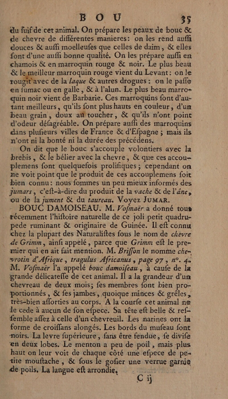 du fuif de cet animal. On prépare les peaux de bouc &amp; de chevre de différentes manieres: on les rend auf douces &amp; auffi moelleufes que celles de daim, &amp; elles font d’une aufli bonne qualité. On les prépare auf en chamois &amp; en marroquin rouge &amp; noir. Le plus beau &amp; lemeilleur marroquin rouge vient du Levant: on le roupit'avec de la /zque &amp; autres drogues : on le pafle en {umac ou en galle , &amp; à l’alun. Le plus beau marro- quin noir vient de Barbarie. Ces marroquins font d’au- tant meilleurs, qu’ils font plus hauts en couleur, d’un beau grain, doux at toucher, &amp; qu’ils n’ont point d’odeur défagréable. On prépare aufli des marroquins dans plufieurs villes de France &amp; d’Efpagne ; mais ils n’ont ni la bonté ni la durée des précédens. On dit que le bouc s’accouple volontiers avec la brebis , &amp; le bélier avec la chevre, &amp; que ces accou- plemens font quelquefois prolifiques ; cependant on ne voit point que le produit de ces accouplemens foit : bien connu: nous fommes un peu mieux informés des jumars, c’eft-à-dire du produit de la vache &amp; de l'êne, ou de la jument &amp; du taureau. Voyez JUMAR. BOUC DAMOISEAU. M. Vofmaër a donné tout récemment l’hiftoire naturelle de ce joli petit quadru- pede ruminant &amp; originaire de Guinée. Il eft connu chez la plupart des Naturaliftes fous le nom de chevre . de Grimm, ainfi appelé, parce que Grimm eft le pre- mier qui en ait fait mention. M. Briffon le nomme che- vrotin d'Afrique , tragulus Africanus , page 97, n°. 4 M. Vofinaër l'a appelé bouc damoifeau, à caufe de la grande délicateffe de cet animal. Il a la grandeur d’un chevreau de deux mois; fes membres font bien pro- portionnés , &amp; fes jambes, quoique minces &amp; grêles, très-bien afforties au corps. A la courfe cet animal ne le cede à aucun de fon efpece. Sa tête eft belle &amp; ref femble aflez à celle d’un chevreuil. Les narines ont la forme de croiflans alongés. Les bords du mufeau font noïrs. La levre fupérieure , fans être fendue, fe divife en deux lobes. Le menton a peu de poil , mais plus haut on leur voit de chaque côté une efpece de pe tite mouftache , &amp; fous le gofer une verrue garnie de poils, La langue eft arrondie, © Ci