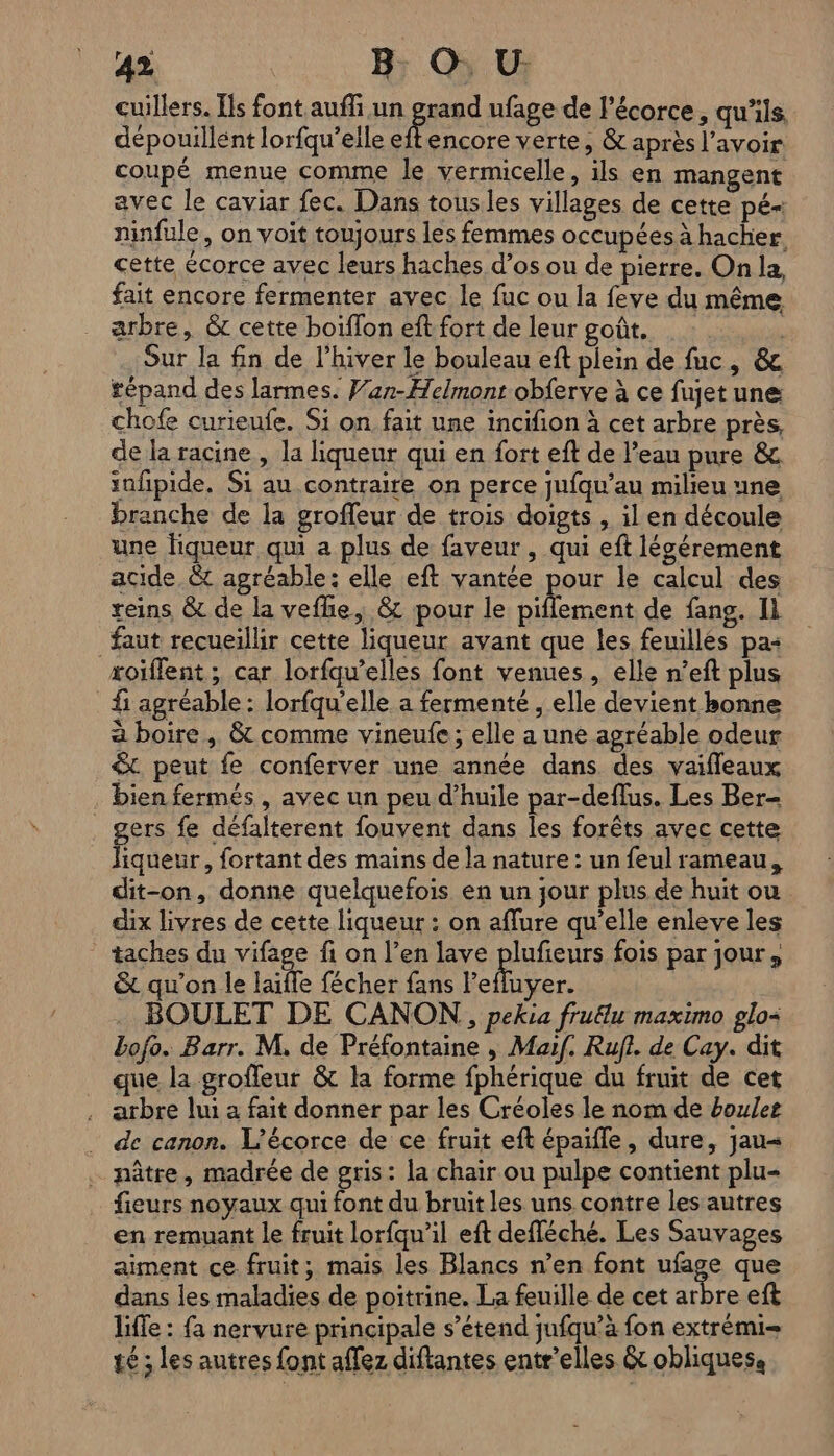 cuillers. [ls font auffi un grand ufage de l'écorce, qu'ils, dépouillént lorfqu’elle M: encore verte, &amp; après l'avoir coupé menue comme le vermicelle, ils en mangent avec le caviar fec. Dans tousles villages de cette pé- ninfule, on voit toujours les femmes occupées à hacher. cette écorce avec leurs haches d’os ou de pierre. On la, fait encore fermenter avec Le fuc ou la feve du même arbre, &amp; cette boïffon eft fort de leur goût. | | Sur la fin de l’hiver le bouleau eft plein de fuc, &amp; tépand des larmes. VWar-Helmonr obferve à ce fujet une chofe curieufe. Si on fait une incifion à cet arbre près, de la racine , la liqueur qui en fort eft de l’eau pure &amp; tufñpide. Si au contraire on perce jufqu’au milieu une branche de la groffeur de trois doigts , il en découle une fiqueur qui a plus de faveur, qui eft lécérement acide. &amp; agréable: elle eft vantée pour le calcul des reins &amp; de la vefhe, &amp; pour le pifflement de fang. Il faut recueillir cette liqueur avant que les feuillés pa: xoïffent ; car lorfqu’elles font venues, elle n’eft plus fi agréable : lorfqu’elle a fermenté , elle devient honne à boire, &amp; comme vineufe; elle a une agréable odeur &amp; peut fe conferver une année dans des vaifleaux bien fermés , avec un peu d'huile par-deflus. Les Ber- gers fe défalterent fouvent dans les forêts avec cette liqueur, fortant des mains de la nature : un feul rameau, dit-on, donne quelquefois en un jour plus de huit ou dix livres de cette liqueur : on aflure qu’elle enleve les taches du vifage fi on l’en lave DAS fois par jour, &amp; qu’on le laifle fécher fans l’efluyer. BOULET DE CANON, pekia fruëlu maximo glo< Lofo. Barr. M. de Préfontaine , Maif. Rufl. de Cay. dit que la groffleur &amp; la forme fphérique du fruit de cet arbre lui a fait donner par les Créoles le nom de boule de canon. L’écorce de ce fruit eft épaifle, dure, jau= nâtre, madrée de gris: la chair ou pulpe contient plu- fieurs noyaux qui font du bruit les uns contre les autres en remuant le fruit lorfqu’il eft defléché. Les Sauvages aiment ce fruit; mais les Blancs n’en font ufage que dans les maladies de poitrine. La feuille de cet arbre eft life : fa nervure principale s’étend jufqu’à fon extrémi- té ; les autres font aflez diftantes entr’elles &amp; obliquese