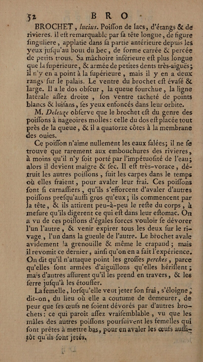 BROCHET , lucius. Poiflon de lacs, d’étangs & de rivieres. il eft remarquable par fa tête longue, de figure finguliere , applatie dans fa partie antérieure depuis les yeux jufqu’au bout du bec, de forme carrée & percée de petits trous. Sa mâchoire inférieure eft plus longue que la fupérieure , & armée de petites dents très-aigués; il n’y en a point à la fupérieure , mais il y en a deux rangs fur le palais. Le ventre du brochet eft évafé & large. Il a le dos obfcur , la queue fourchue , la ligne latérale aflez droite , fon ventre tacheté de points blancs & luifans, fes yeux enfoncés dans leur orbite. M. Deleuze obferve que le brochet eft du genre des poiflons à nageoires molles: celle du dos eft placée tout près de la queue, & il a quatorze côtes à la membrane des ouies. Ce poiffon n’aime nullement les eaux falées; il ne fe trouve que rarement aux embouchures des rivieres, à moins qu'il n’y foit porté par l’impétuofité de l’eau; alors il devient maigre & fec. Il eft très-vorace, dé- truit les autres poiflons , fuit les carpes dans le temps où elles fraient, pour avaler leur frai. Ces poiffons font fi carnaîliers, qu’ils s'efforcent d’avaler d’autres poiflons prefqu’aufh gros qu'eux; ils commencent par la tête, & ils attirent peu-à-peu le refte du corps, à mefure qu’ils digerent ce qui eft dans leur eftomac. On a vu de ces poiflons d’égales forces vouloir fe dévorer l’un l’autre, & venir expirer tous les deux fur Le ri vage, l’un dans la gueule de l’autre. Le brochet avale avidement la grenouille & même le crapaud; mais ilrevomit ce dernier, ainfi qu’on en a fait l'expérience. On dit qu'il n’attaque point les groffes perches , Le qu’elles font armées d’aiguillons qu’elles hériflent ; maïs d’autres aflurent qu’il les prend en travers, & les ferre jufqu’à les étoufter. La femelle, lorfqu’elle veut jeter fon frai, s’éloigne ; dit-on, du lieu où elle a coutume de demeurer, de peur que fes œufs ne foient dévorés par d’autres bro- chets: ce qui paroît aflez vraifemblable , vu que les mâles des autres poiflons pourfuivent les femelles qui font prêtes à mettre bas, pour en avaler les œufs aufli= tôt qu'ils font jetés. : L ue