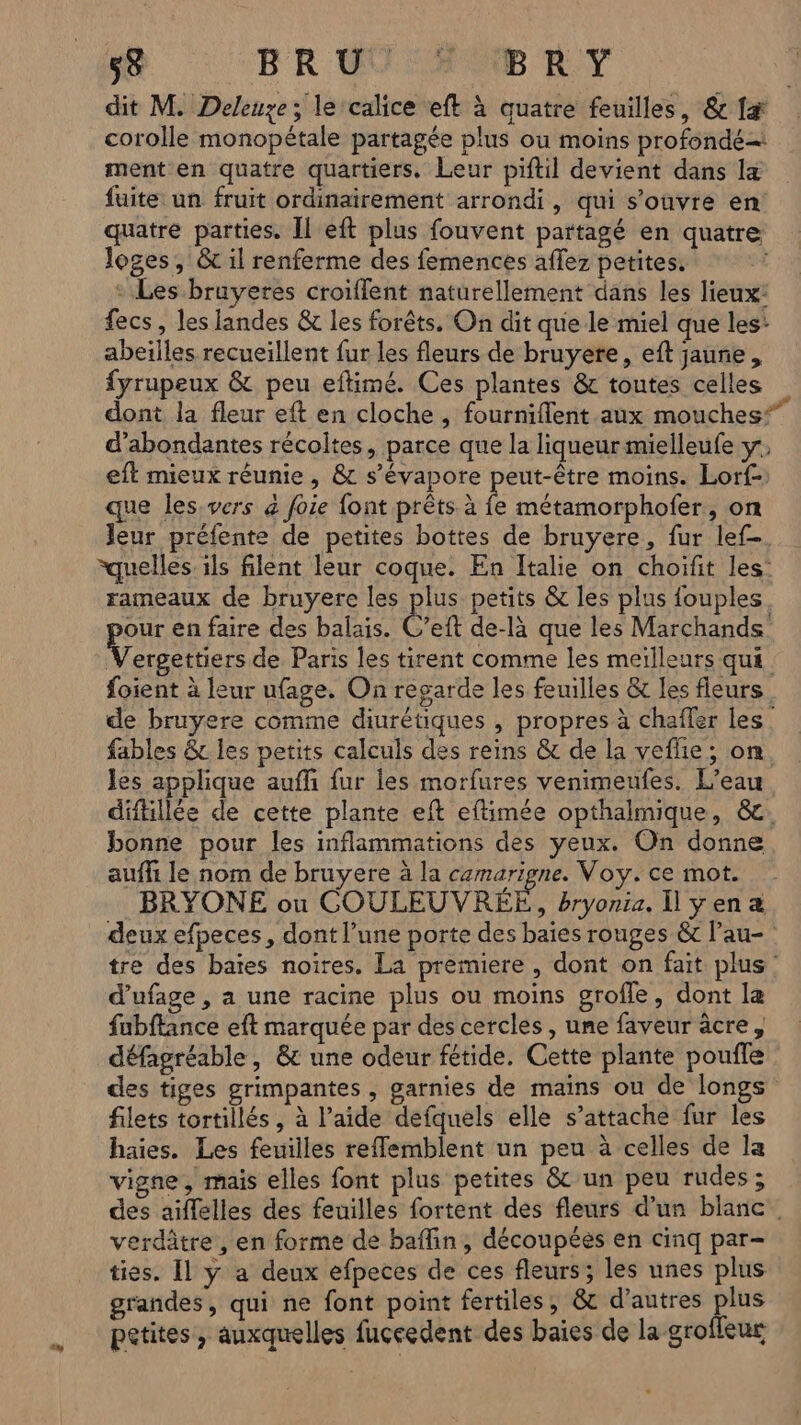 dit M. Deleuze; le‘calice eft à quatre feuilles, &amp; fæ# corolle monopétale partagée plus ou moins profondé= ment en quatre quartiers. Leur piftil devient dans la fuite un fruit ordinairement arrondi, qui s’onvre en quatre parties. Il eft plus fouvent partagé en quatre loges, &amp; il renferme des femences aflez petites. : Les bruyeres croiflent naturellement dans les lieux: fecs , les landes &amp; les forêts. On dit que le miel que les: abetlles recueillent fur les fleurs de bruyere, eft jaune, fyrupeux &amp; peu eftimé. Ces plantes &amp; toutes celles dont la fleur eft en cloche , fourniflent aux mouches“ d’abondantes récoltes, parce que la liqueur mielleufe y eft mieux réunie , &amp; s’évapore peut-être moins. Lorf- que les.vers à foie font prêts à Ë métamorphofer, on Jeur préfente de petites bottes de bruyere, fur lef-. “quelles ils filent leur coque. En Italie on choifit les’ rameaux de bruyere les plus petits &amp; les plus fouples our en faire des balais. Ce de-là que les Marchands RMS ERR de Paris les tirent comme les meilleurs qui foient à leur ufage. On regarde les feuilles &amp; les fleurs de bruyere comme diurétiques , propres à chafler les. fables &amp;c les petits calculs des reins &amp; de la veflie; om les applique auffi fur les morfures venimeufes. L’eau diftillée de cette plante eft eftimée opthalmique, &amp;. bonne pour les inflammations des yeux. On donne auffi le nom de bruyere à la camarigne. Voy. ce mot. BRYONE ou COULEUVREE bryonta. Îl yen a deux efpeces, dont l’une porte des baies rouges &amp; l’au- tre des baïes noires. La premiere, dont on fait plus d’ufage , a une racine plus ou moins grofle, dont la fubftance eft marquée par des cercles , une faveur âcre, défagréable, &amp; une odeur fétide. Cette plante pouffle des tiges grimpantes , garnies de mains ou de longs filets tortillés , à l’aide defquels elle s’attache fur les haies. Les feuilles refflemblent un peu à celles de la vigne, mais elles font plus petites &amp; un peu rudes; des aiffelles des feuilles fortent des fleurs d’un blanc. verdâtre, en forme de baflin, découpées en cinq par- ties. Il ÿ a deux efpeces de ces fleurs; les unes plus grandes, qui ne font point fertiles, &amp; d’autres plus petites , auxquelles fuceedent des baies de la groffeur