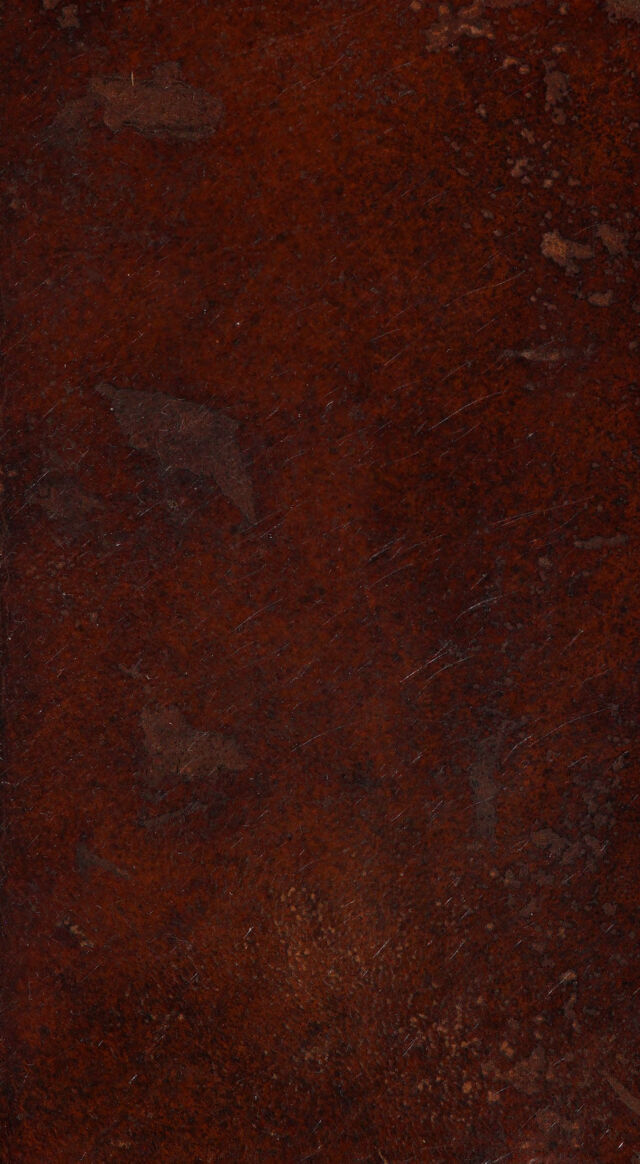 digitised image 1