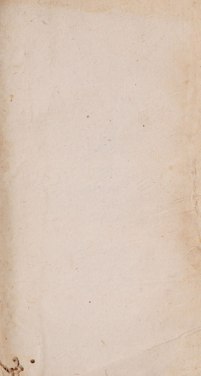 digitised image 3