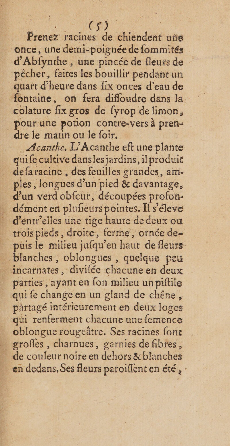 to es Prenez racines de chiendent uris once, une demi- poignée de fommités d’ Abfynche , une pincée de fleurs de pêcher, faites les bouillir pendastun _ quart d'heure dans fix onces d’eau de fontaine, on fera difloudre dans la. colature fix gros de fyrop de limon, pour une potion contre-vers à pren- dre le matin ou le foir. . Acanthe, L’Acanthe eft une plante quife cultive danslesjardins, il produit defaracine , des feuilles grandes, am- ples, longues d’un pied &amp; davantage, d’un verd obfcur, découpées profon- . démenter plufieurs pointes. Il s’éleve d’entr’elles une tige haute de deux ou trois pieds , droite, ferme, ornée de- puis le milieu ufqu en haut de fleurs blanches, oblongues , quelque peu incarnates , “divilée chacune en deux parties, ayant en fon milieu unpiftile qui fe change en un gland de chêne, partagé intérieurement en deux loges qui renferment chacune une femence oblongue rougeâtre. Ses racines font grofles , charnues, garnies de fibres, de couleur noire en dehors &amp;blanches en dedans, Ses fleurs paroiflent en été, -