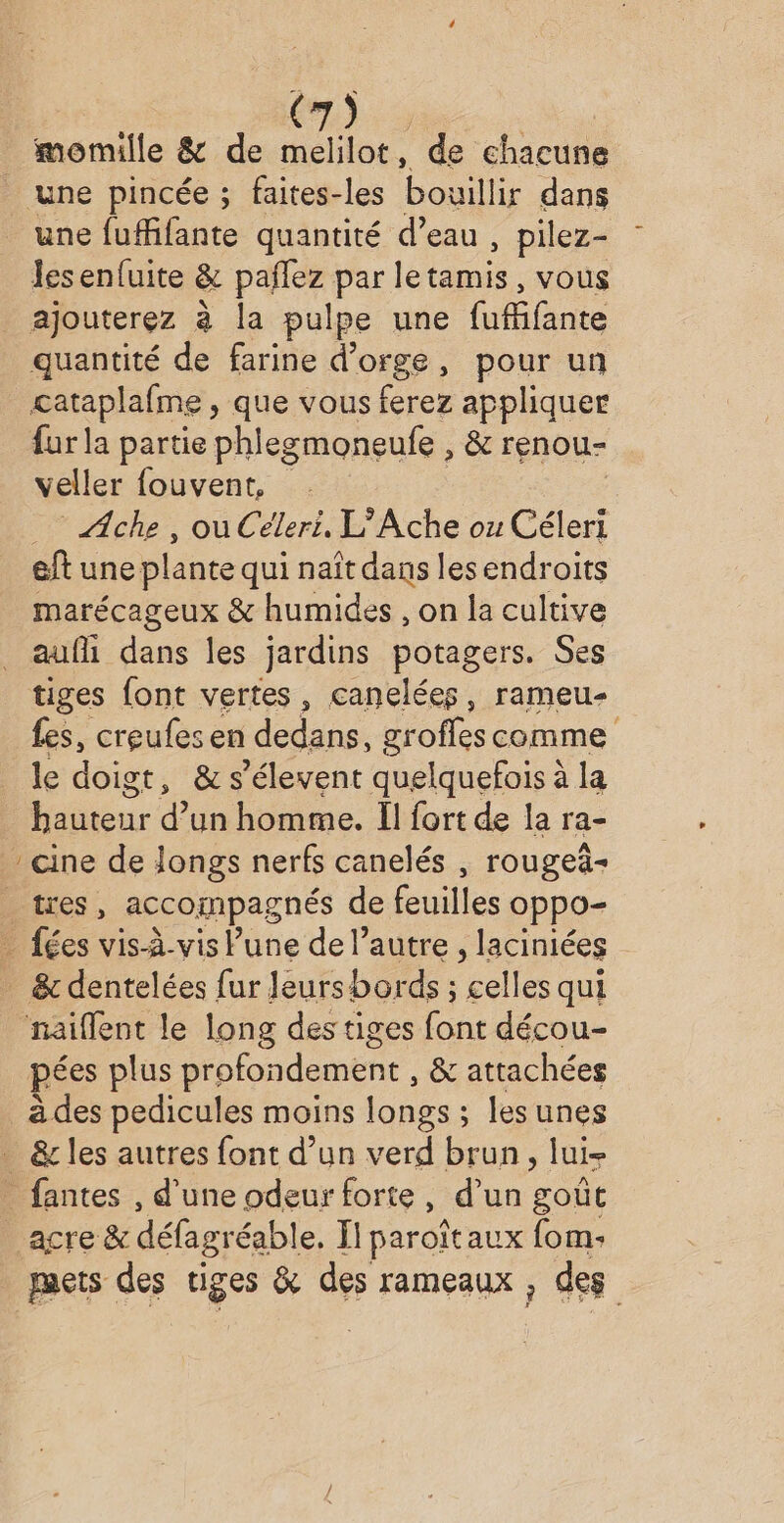 momille &amp; de melilot, de chacune une pincée ; faites-les bouillir dans une fuffifante quantité d’eau , pilez- les enfuite &amp; pañlez par letamis, vous ajouterez à la pulpe une Gén quantité de farine d'orge, pour un cataplafme , que vous ferez appliquer fur la partie phlegmoneufe , &amp; renou- veller fouvent, . Ache , ou Céleri, L’Ache ou Céleri eft une plante qui naît dans lesendroits marécageux &amp; humides , on la cultive aufli dans les jardins potagers. Ses tiges font vertes, canelées, rameu- fes, creufes en dedans, groffes comme le doigt, &amp; s’élevent quelquefois à la hauteur d’un homme. Îl fort de la ra- cine de longs nerfs canelés , rougeä- tres, accompagnés de fuite Oppo- . fées vis-à-vis lune de l’autre , laciniées _ &amp; dentelées fur leursbords ; Lelle qui naiflent le long des tiges font décou- pées plus profondement , &amp; attachées à des pedicules moins longs ; lesunes _ &amp; les autres font d’un verd brun, lui- _fantes , d’une odeur forte, d’un goût _acre &amp; défagréable, Il paroîtaux fom- mets des tiges &amp; des rameaux , des