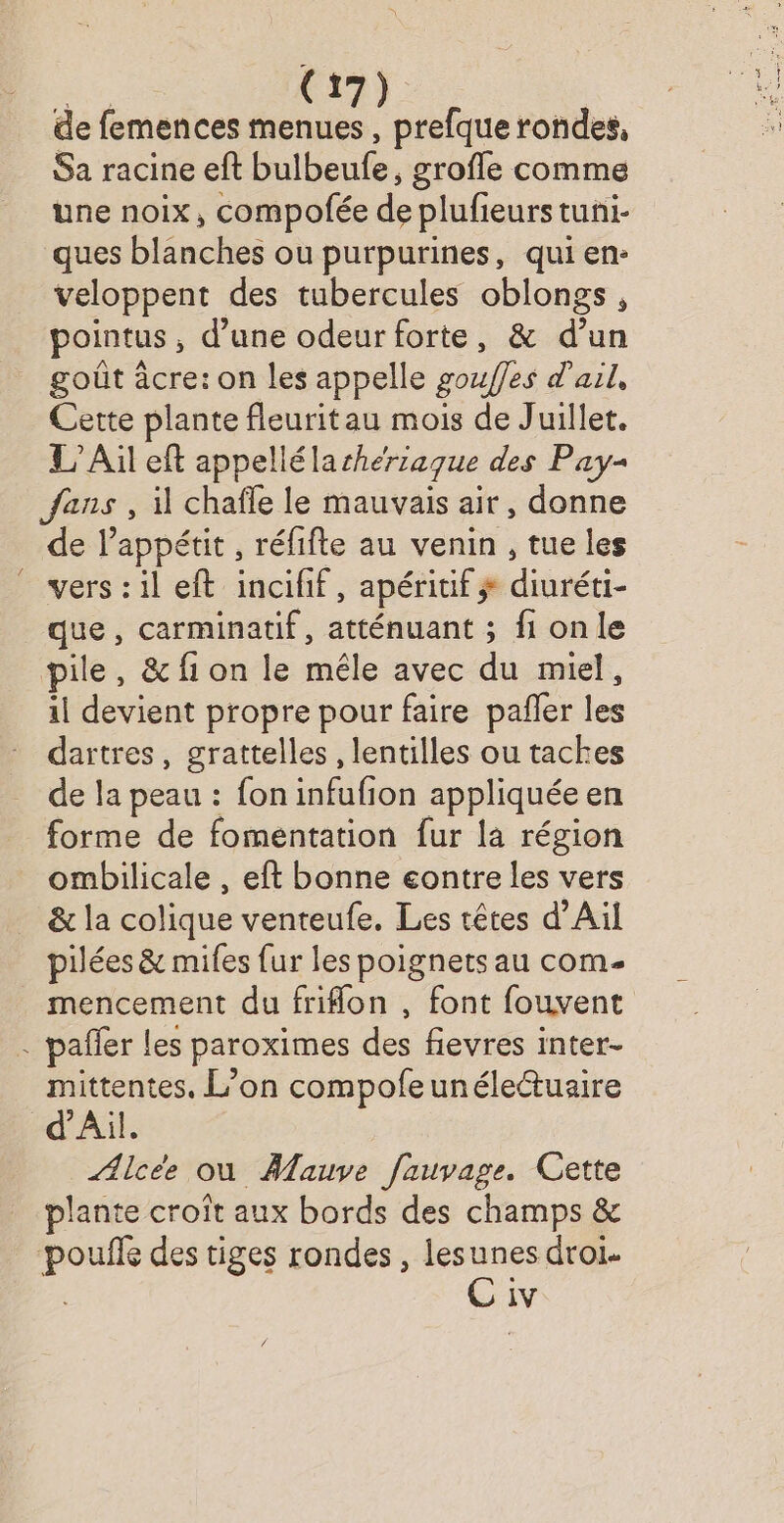 de femences menues , prefque rondes, Sa racine eft bulbeufe, grofle comme une noix, compofée de plufieurs tuni- ques blanches ou purpurines, qui en: veloppent des tubercules oblongs, pointus, d’une odeur forte, & d’un goût âcre: on les appelle gouffes d'ail, Cette plante fleuritau mois de Juillet. L’Ail eft appellélarhercaque des Pay- fans , il chafle le mauvais air, donne de l'appétit , réfifte au venin , tue les vers : il eft inciff, apéritif # diuréti- que, carminatif, atténuant ; fi onle pile, & fi on le mêle avec du miel, il devient propre pour faire pañler les dartres, grattelles , lentilles ou tackes de la peau : fon infufion appliquée en forme de fomentation fur la région ombilicale , eft bonne eontre les vers & la colique venteufe. Les têtes d’Ail pilées & miles fur les poignets au com mencement du frifon , font fouvent . pañler les paroximes des fievres inter- mittentes, L’on compofeunélectuaire d'Ail. Alceée ou Mauve fauvage. Cette plante croit aux bords des champs & poule des tiges rondes , lesunes drol- GC iv