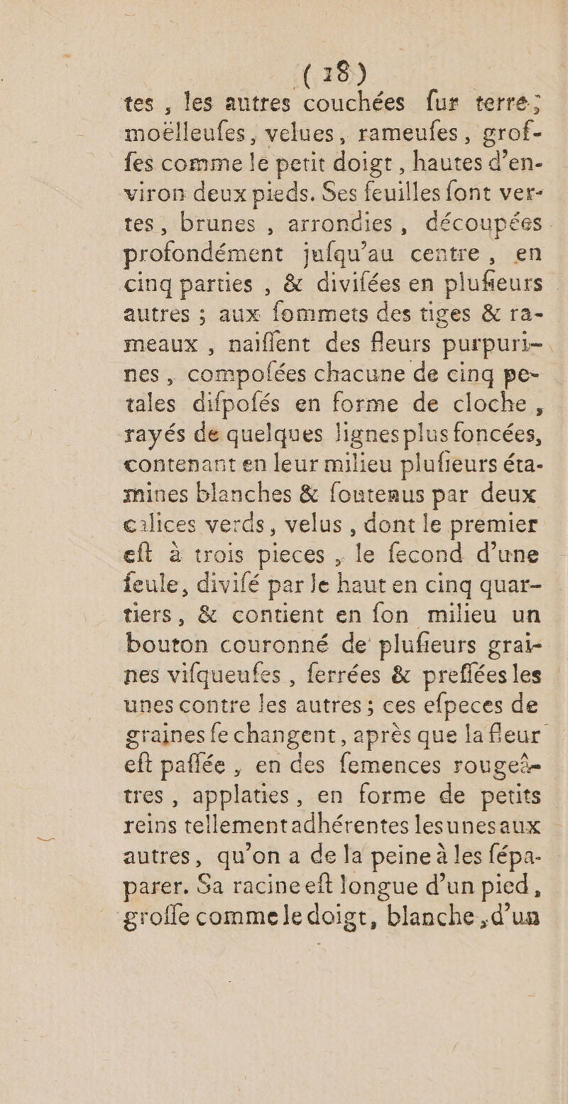 (48) s , les autres couchées fur terre; moélleufes, velues, rameufes, grof- fes comme le petit doigt, hautes d’en- viron deux pieds. Ses feuilles font ver- , brunes , arrondies, découpées. Patient jufqu’au centre, en cinq parues , &amp; divilées en plufieurs autres ; aux fommets des tiges &amp; ra- meaux , naiflent des fleurs purpuri-. nes, compolées chacune de cinq pe- tales difpofés en forme de cloche, rayés de quelques lignes pe foncées, contenant en leur milieu plufieurs éta- mines blanches &amp; fontenus par deux cilices verds, velus , dont le premier eft à trois pieces , le fecond d’une feule, divifé par le haut en cinq quar- tiers, &amp; contient en fon milieu un bouton couronné de plufieurs grai- nes vifqueufes , ferrées &amp; preflées les unes contre les autres; ces efpeces de graines fe changent, après que la fleur eft paflée , en des femences rougeë- tres , applaties, en forme de petits reins tellementadhérentes lesunesaux autres, qu'on a de la peine à les fépa- parer, Sa racineeft longue d’un pied, groffe commele doigt, blanche ,d’un