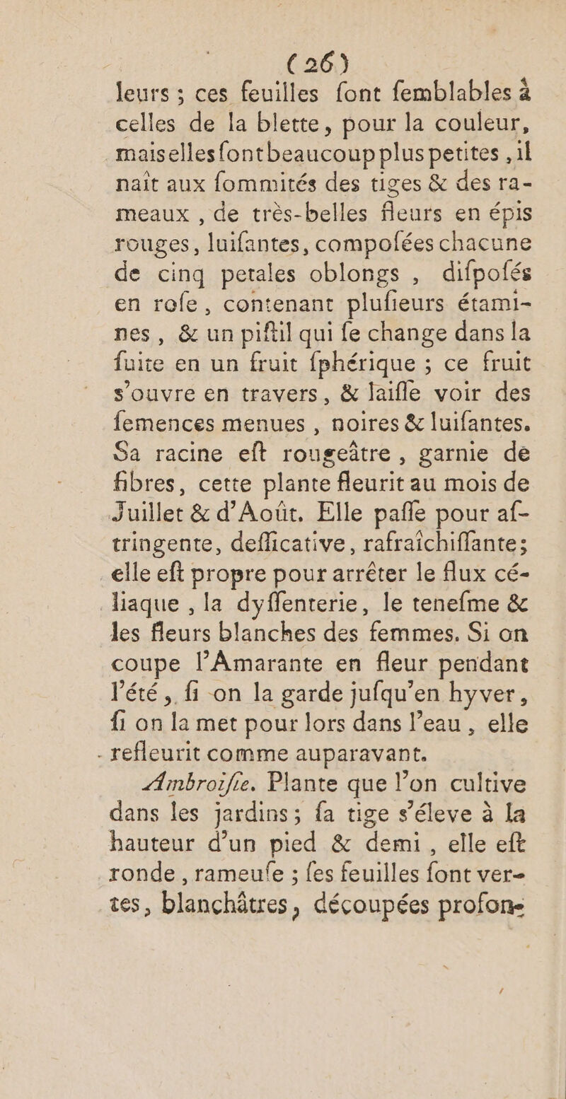leurs ; ces feuilles font femblables à celles de la blette, pour la couleur, maiselles fontbeaucoup plus petites , il naît aux fommités des tiges &amp; des ra- meaux , de très-belles _. en épis rouges, luifantes, compofées chacune de cinq petales oblongs , difpotés en rofe, contenant plufieurs étami- , &amp; un piftil qui fe change dans la ie en un fruit fphérique ; ce fruit s’ouvre en travers, &amp; laifle voir des femences menues , noires &amp; luifantes. Sa racine eft rougeûtre, garnie de fibres, cette plante feurit au mois de Juillet &amp; d'Août, Elle pañle pour af- tringente, deflicative, rafraîichiffante; elle eft propre pour arrêter le flux cé- liaque , la dyffenterie, le tenefme &amp; les fleurs blanches des femmes. Si on coupe l’Amarante en fleur pendant l'été, fi on la garde jufqu’en ire {1 on la met pour lors dans l’eau , elle - refleurit comme auparavant. ÆAinbroifie. Plante que l’on cultive dans les jardins; fa tige s’éleve à La hauteur d’un pied &amp; demi, elle eft ronde , rameufe ; {es feuilles font ver- tes, blanchôtres, découpées profone