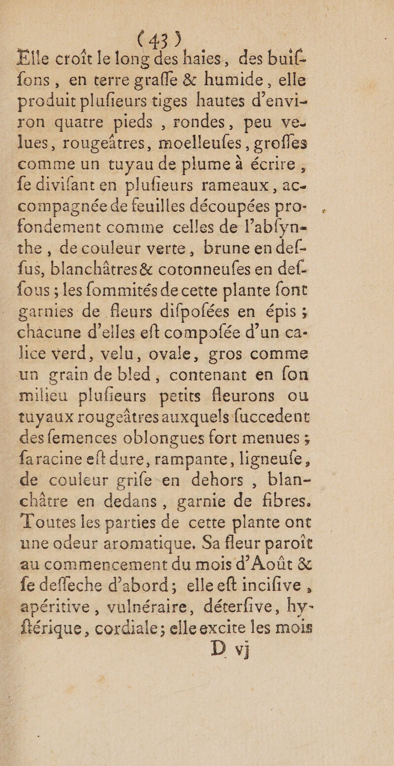 Elle croît le long des haies, des buif- fons, en terre grafle &amp; humide, elle produit plufieurs tiges hautes d’envi- ron quatre pieds , rondes, peu ve: lues, rougeitres, moelleufes, grofles comme un tuyau de plume à écrire, fe divifant en plufieurs rameaux, ac- compagnée de feuilles découpées pro- fondement comme celles de l’abfyn- the , de couleur verte, brune en def- fus, blanchâtres &amp; cotonneufes en def. fous ; les fommités de cette plante font garnies de fleurs difpofées en épis ; chacune d'elles eft compotée d’un ca- lice verd, velu, ovale, gros comme un grain de bled; contenant en fon milieu plufeurs petits fleurons ou tuyaux rougeâtresauxquels fuccedent des femences oblongues fort menues ; faracine eft dure, rampante, ligneule, de couleur grife en dehors , blan- châtre en dedans, garnie de fibres. Toutes les parties de cette plante ont une odeur aromatique, Sa fleur paroît au commencement du mois d’Août &amp; {e defleche d’abord; elleeft incifive, apéritive, vulnéraire, déterfive, hy- ftérique, cordiale; elle excite les mois