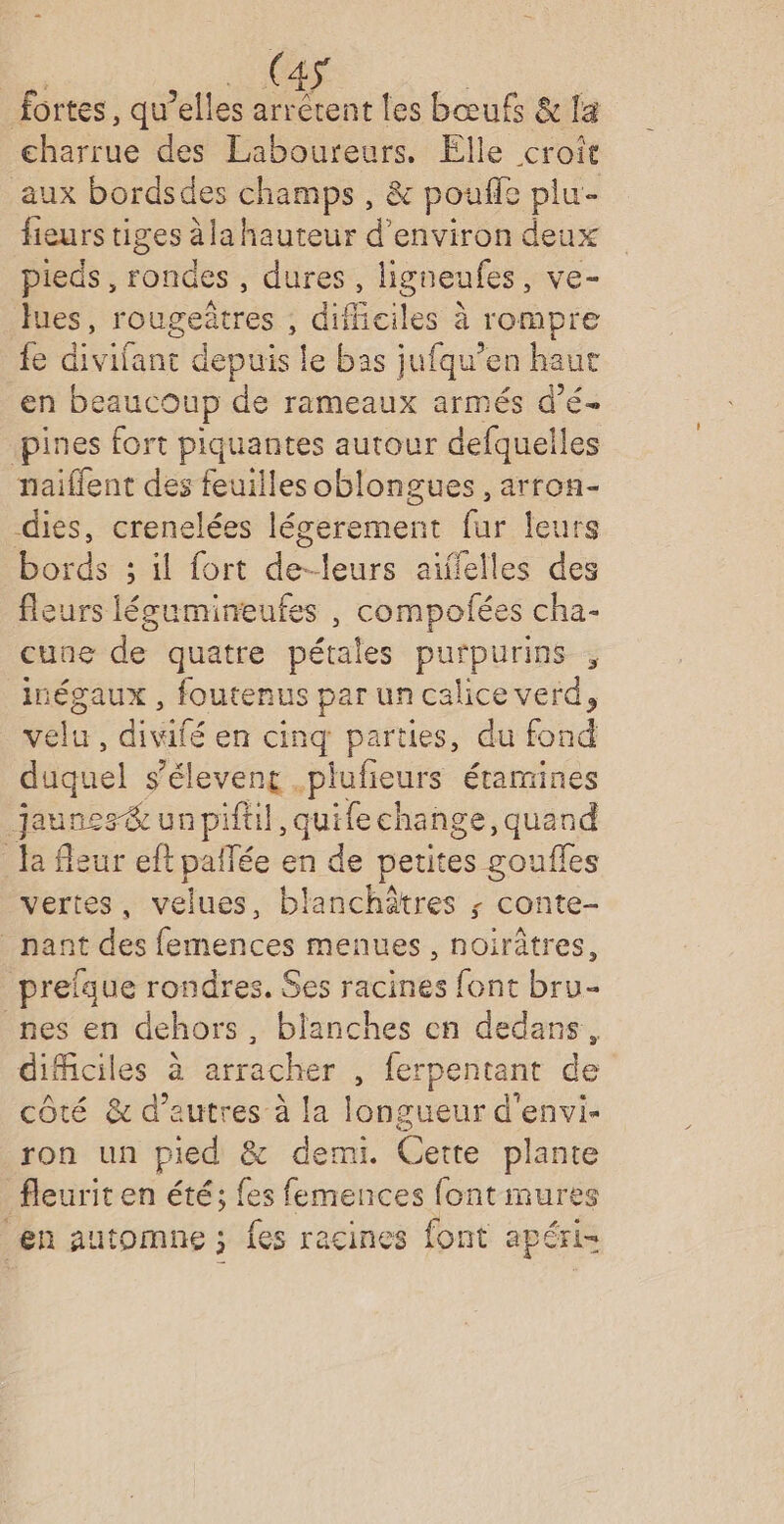 fortes, qu’elles arrètent les bœufs & la charrue des Laboureurs. Elle croît aux bordsdes champs, & pouffe plu- fieurs tiges à la hauteur d'environ deux pieds, rondes , dures, ligneufes, ve- es, rougeûtres ; dificiles à rompre fe divifant depuis ! e bas jufqu’en haut en beaucoup de rameaux armés d’é- pines fort piquantes autour defquelles naiflent des feuilles oblongues , arron- dies, crenelées légerement fur leurs bords ; il fort de-leurs aïffelles des fleurs légumineufes , compofées cha- cune de quatre pétales purpurins , inégaux , foutenus par un calice verd, velu, divifé en cinq parties, du fond duquel s’élevent .plufieurs étamines jaunes& unpifül, quifechange, quand Ja fleur eft paîlée en de petites goufles vertes, velues, blanchâtres ; conte- nant des rénées menues , noirâtres, prefque rondres. Ses racines font bru- nes en dehors, blanches en dedans, difficiles à arracher , ferpentant de côté & d’autres à la longueur d'envi- ron un pied & demi. Cette plante fleurit en été; fes femences fontmures en automne ; fes racines font apéri-