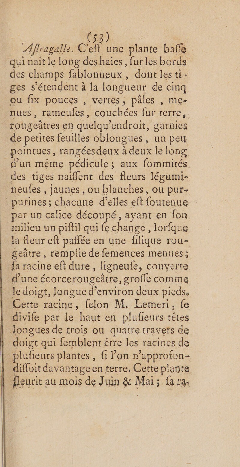 Affragalle. CR une plante baffe qui naît le long deshaies, fur les bords des champs fablonneux, dontlesti: ges s'étendent à la longueur de cinq ou fix pouces , vertes, pâles , me- nues, rameules, couchées fur terre. rougeâtres en quelqu’endroit, garnies de petites feuilles oblongues , un peu pointues, rangéesdeux à deux le long d'un même pédicule : ; aux fommités des tiges naiflent des fleurs légumi- neufes , jaunes , ou blanches, ou pur- _purines ; chacune d'elles eft foutenue par un calice découpé, ayant en {on milieu un piftil qui fe change, lorfque la fleur eft pañée en une filique rou- geûtre, remplie de femences menues; fa racine eft dure , ligneufe, couverte d’une écorcerougeître, grofle comme le doigt, longue d'environ deux pieds, Cette racine, felon M. Lemeri, fe divife par le haut en plufeurs têtes Jongues de trois ou quatre travers de doigt qui femblent étre les racines de _plufieurs plantes, fi lon n’approfon- difloit davantage en terre, Cette plante fleuric au Mois s de J uin si Mai ; à fa Le