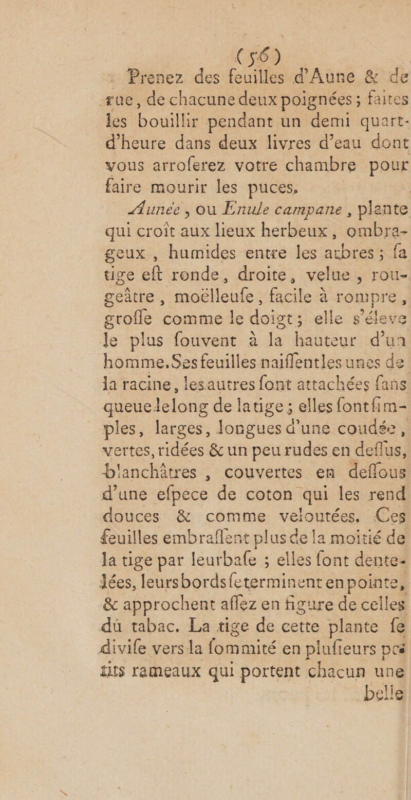 . Prenez des Rails d'Aure &amp; de sue, de chacune deux poignées; faites les bouillir pendant un demi quart- d'heure dans deux livres d’eau dont vous arroferez votre chambre pour faire mourir les puces, | ÆAunee , où Enule campane , plante qui croît aux lieux herbeux, ombra- geux , humides entre les acbress fa tige ef ronde, droite, velue , rou- geñâtre , moël Note» facile à rompre, groffe comme le doigt : elle s’élevs le plus fouvent à la hauteur d’un homme.Sss feuilles naiflentles unes de la racine, lesautres font attachées fans queuelelong de latige ; elles fontfim- ples, larges, longues d’une coudée, vertes, ridées &amp; un peu rudesen deflus, lanchôtres , couvertes en A ous d’une efpece de coton qui les rend douces &amp; comme tee Ces feuilles embraflent plus de la moïtié de la tige par leurbafe ; elles font dente- Jées, Sa EE SM &amp; approchent aflez en figure de celles dû tabac. La tige de cette plante fe divife vers la bee en plufieurs pcs tits rameaux qui portent chacun une belle