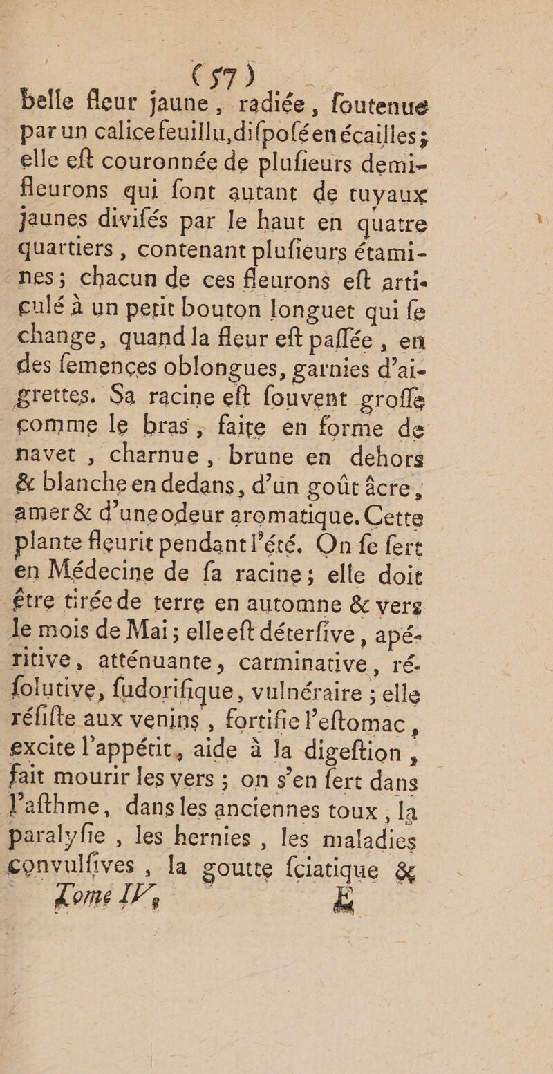| CRT belle fleur jaune, radiée, foutenue par un calicefeuillu difpoféenécailles; elle eft couronnée de plufieurs demi- fleurons qui font autant de tuyaux jaunes divifés par le haut en quatre quartiers , contenant plufieurs étami- nes; chacun de ces fleurons eft arti- culé à un petit bouton longuet qui fe change, quand la fleur eft pañlée , en des femences oblongues, garnies d’ai- grettes. Sa racine eft fouvent groffé gomme le bras, faite en forme de navet , charnue, brune en dehors & blanche en dedans, d’un goût âcre, amer & d’uneodeur aromatique. Cette plante fleurit pendant l'été. On fe fert en Médecine de fa racine; elle doit être tirée de terre en automne & vers le mois de Mai; elleeft déterfive, apé- ritive, atténuante, carminative, ré- folutive, fudorifique, vulnéraire ; elle réfifte aux venins , fortifie l’eftomac , excite l'appétit, aide à la digeftion, fait mourir les vers ; on s’en fert dans V’afthme, dans les anciennes toux 18 paralyfie , les hernies , les maladies convulfives , la goutte {ciatique & dome 117, &
