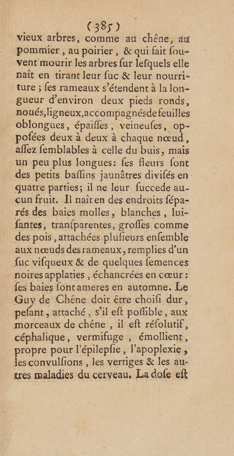 vieux arbres, comme au chêne, au pommier , au poirier, & qui fait fou vent mourir les arbres fur lefquels elle naît en tirant leur fuc & leur nourri- ture ; fes rameaux s'étendent à la lon- gueur d'environ deux pieds ronds, noués,ligneux,accompagnésdefeuilles oblongues, épaifles, veineufes, op- pofées deux à deux à chaque nœud, affez femblables à celle du buis, mais un peu plus longues: fes fleurs font des petits baflins jaunâtres divifés en quatre parties; il ne leur fuccede au- cun fruit. Il naïten des endroits fépa- rés des baies molles, blanches, lui- fantes, tranfparentes, grofles comme des pois , attachées plufieurs enfemble aux nœuds desrameaux, remplies d’un fuc vifqueux & de quelques femences noires applaties , échancrées en cœur : {es baies {ontameres en automne. Le Guy de Chêne doit être choif dur, . pefant, attaché, s’il eft poflible, aux morceaux de chêne , il .eft réfolutif, céphalique, vermifuge , émollient, propre pour l’épilepfie, l’apoplexie, les convulfons , les vertiges & les au- tres maladies du cerveau, La dofe eft