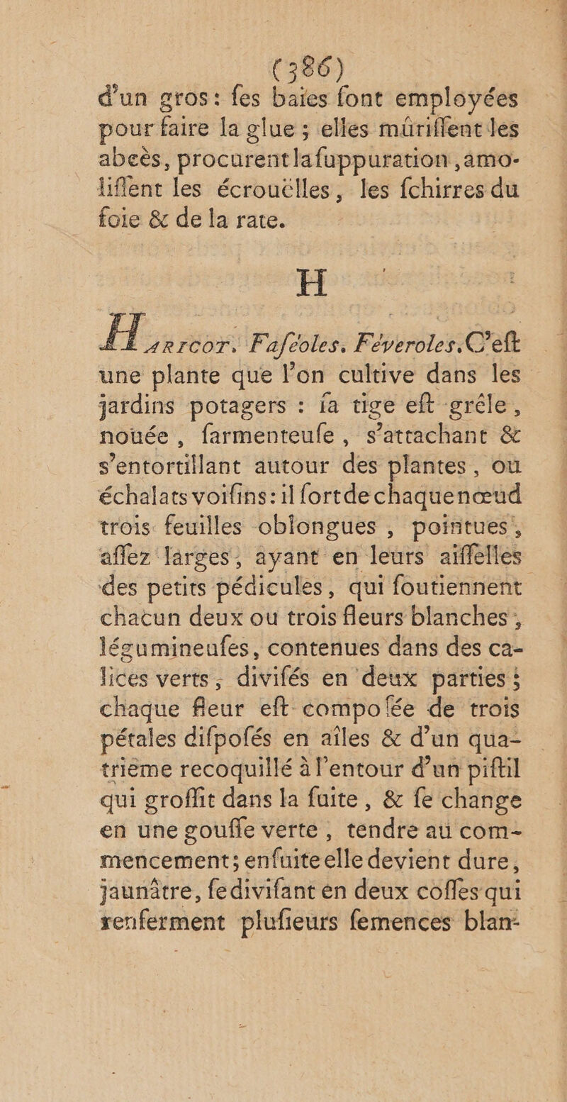d'un gros: fes baïes font employées pour faire la glue ; elles müriflentles abeès, procurent lafuppuration, amo- liflent les écrouclles, les fchirres du foie & de la rate. H H ARICOT: Faféoles. Féveroles.C’eft une plante que lon cultive dans les jardins potagers : ja tige eft gréle, nouée , farmenteufe, s’attachant & s’entortillant autour des plantes, ou échalats voifins: il fortdechaquenœud trois feuilles oblongues , pointues, affez larges, ayant en leurs aïffelles des petits pédicules, qui foutiennent chacun deux ou trois fleurs blanches ; lézumineufes, contenues dans des ca- lices verts, divifés en deux parties ; hs fleur eft compofée de trois pétales difpofés en aîles & d’un qua- trième recoquillé à lentour d’un piftil qui grofit dans la fuite, & fe change en une goufle verte, tendre au com- mencement; enfuite elle devient dure, jaunâtre, fedivifant en deux coffes qui renferment plufieurs femences blan-