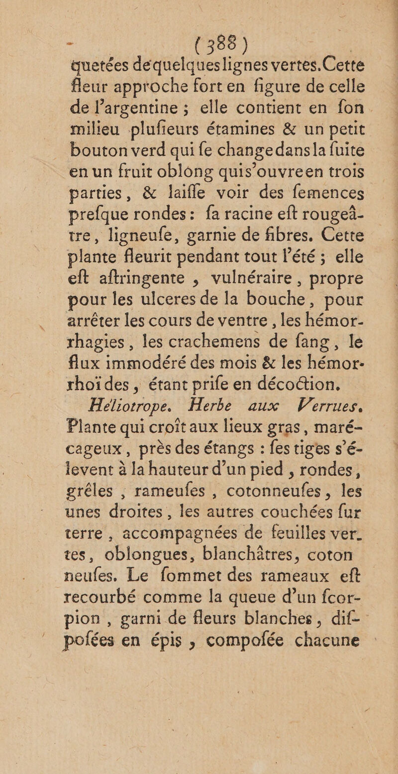 quetées de ae vertes. Cette fleur approche fort en figure de celle de l’argentine ; elle contient en fon. milieu plufieurs étamines &amp; un petit bouton verd qui fe changedansla fuite en un fruit oblong quis’ouvreen trois parties, &amp; laifle voir des femences prefque rondes: fa racine eft rougeà- tre, ligneufe, garnie de fibres. Cette plante Heutit pendant tout l’été ; elle eft aftringente , vulnéraire, propre pour les ulceres de la bouche , pour arrêter les cours de ventre , les hémor- rhagies , les crachemens de fang, le flux immodéré des mois &amp; les hémor- rhoï des , étant prife en décoction. Héliotrope. Herbe aux Verrues. Plante qui croît aux lieux gras, maré- cageux, près des étangs : fes tiges s’é- ievent à la hauteur d’un pied , rondes, grêles , rameufes , cotonneufes, les unes droites, les autres couchées fur terre, accompagnées de feuilles ver. tes, oblongues, blanchètres, coton neufes. Le fommet des rameaux eft recourbé comme la queue d’un fcor- pion , garni de fleurs blanches, dif- pofées en épis , compoñée chacune