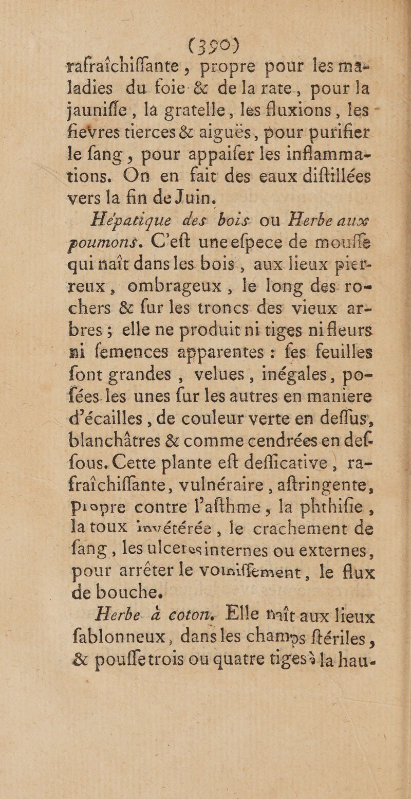 (350) rafraîchiffante, propre pour les maz ladies du foie &amp; dela rate, pour la jaunifle , la gratelle, les fluxions , les fievres tierces &amp; aiguës, pour purifier le fang , pour appaifer les inflamma- tions. On en fait des eaux diftillées vers la fin de Juin. Hépatique des bois ou Herbe aux poumons. C’eft uneefpece de moufle qui naît dans les bois, aux lieux piet- reux, ombrageux , le long des ro= chers &amp; fur les troncs des vieux ar- bres ; elle ne produit ni tiges nifleurs si femences agparentes : fes feuilles font grandes , velues, inégales, po- {ées.les unes fur les autres en maniere d’écailles , de couleur verte en deflus, blanchâtres &amp; comme cendrées.en def. fous. Cette plante eft deflicative, ra- fraîchiffante, vulnéraire , aftringente, Pionre contre l’afthme, la phthifie, la toux invétérée , le crachement de fang , les ulceresinternes ou externes, pour arrêter le Voiniffement, le flux de bouche, Herbe à coton. EMe maît aux lieux fablonneux, dansles chamos ftériles , &amp; poufletrois ou quatre tiges fa hau-
