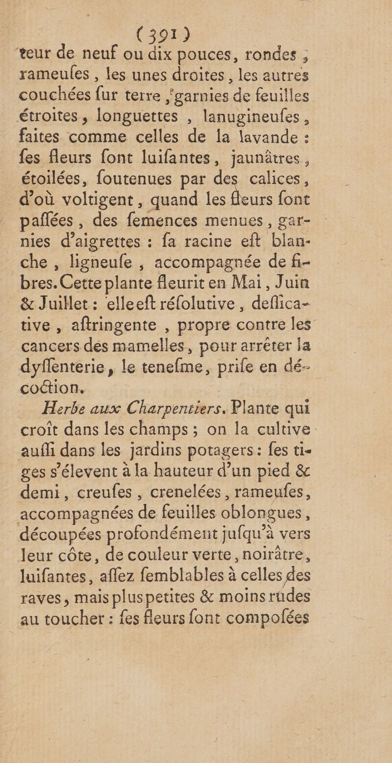 teur de neuf ou dix pouces, rondes ; rameules , les unes droites, les autres couchées fur terre garnies de feuilles étroites , longuettes , lanugineufes, faites comme celles de la lavande : {es fleurs font luifantes, jaunâtres, étoilées, foutenues par des calices, d’où voltigent, quand les Murs font pañlées , des femences menues, gar- nies d’aigrettes : fa racine eft blan- che, ligneufe , accompagnée de fi- bres. Cette plante fleurit en Mai, Juin &amp; Juillet : elleeft rélolutive, deflica- tive , aftringente , propre contre les cancers des mamelles, pour arrêter la dyffenterie, le tenefme, prife en dé- coétion. Herbe aux Charpentiers. Plante qui croît dans les champs ; on la cultive auffi dans les jardins potagers: fes ti- ges s’élevent à la hauteur d’un pied &amp; demi, creufes , crenelées , rameufes, accompagnées de feuilles oblongues, découpées profondémenit jufqu’à vers leur côte, de couleur verte, noirâtre, luifantes, aflez femblables à celles des raves, mais pluspetites &amp; moins rudes au toucher : fes fleurs font compofées
