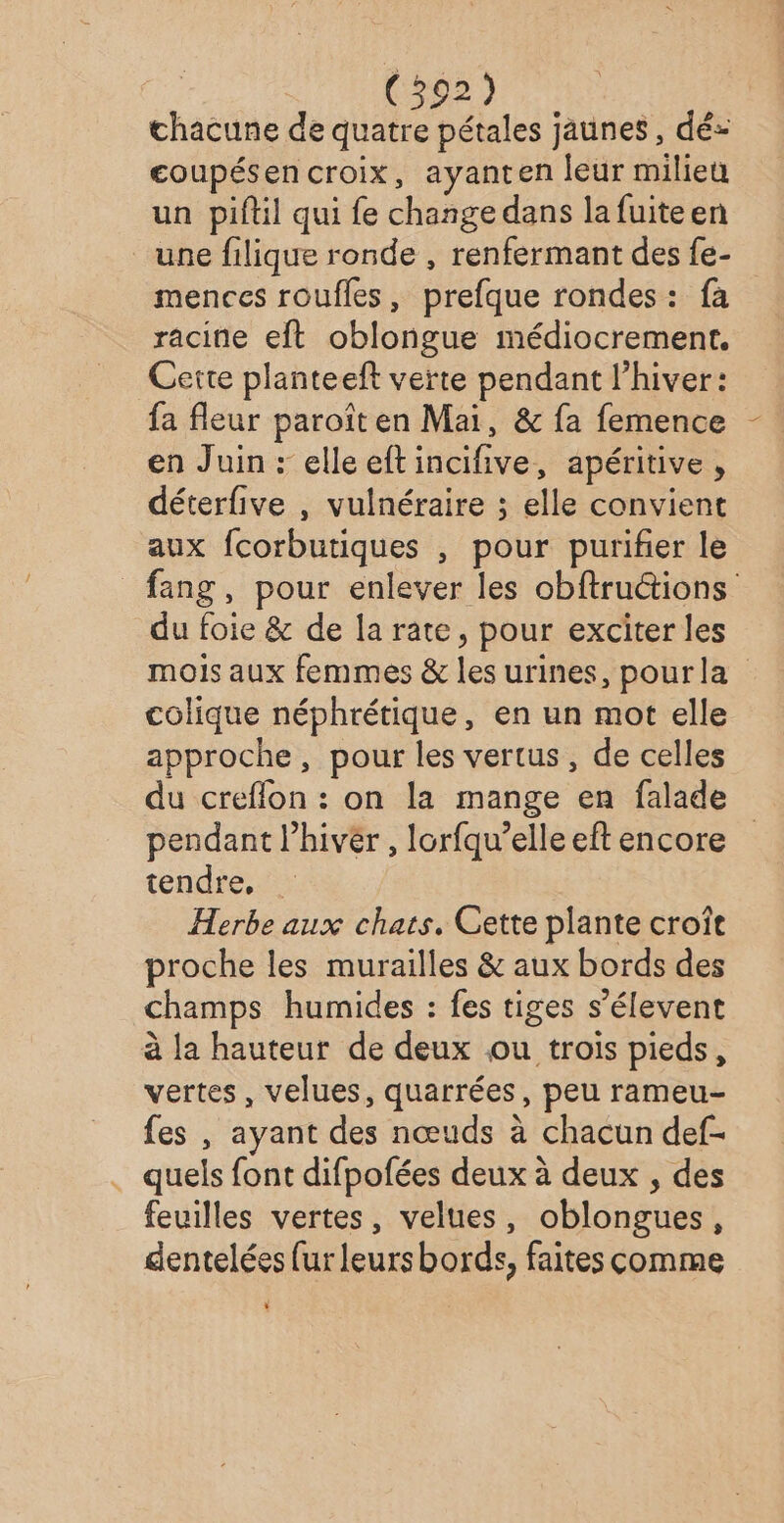 chacune de quatre pétales jaunes, dé: coupésen croix, ayanten leur milieu un piftil qui fe change dans lafuiteen une filique ronde , renfermant des fe- mences roufles, prefque rondes: fà racine eft oblongue médiocrement, Cette planteeft verte pendant l’hiver: fa fleur paroîten Mai, &amp; fa femence en Juin : elle eftincifive, apéritive, déterfive , vulnéraire ; elle convient aux fcorbutiques , pour purifier le fang, pour enlever les obftruions du foie &amp; de la rate, pour exciter les mois aux femmes &amp; les urines, pourla colique néphrétique, en un mot elle approche , pour les vertus, de celles du creflon : on la mange en falade pendant l’hivér , Iorfqu’elle eft encore tendre, Herbe aux chats. Cette plante croît proche les murailles &amp; aux bords des champs humides : fes tiges s’élevent à la hauteur de deux ou trois pieds, vertes, velues, quarrées, peu rameu- fes , ayant des nœuds à chacun def- quels font difpofées deux à deux , des feuilles vertes, velues, oblongues, dentelées fur leursbords, faites comme L