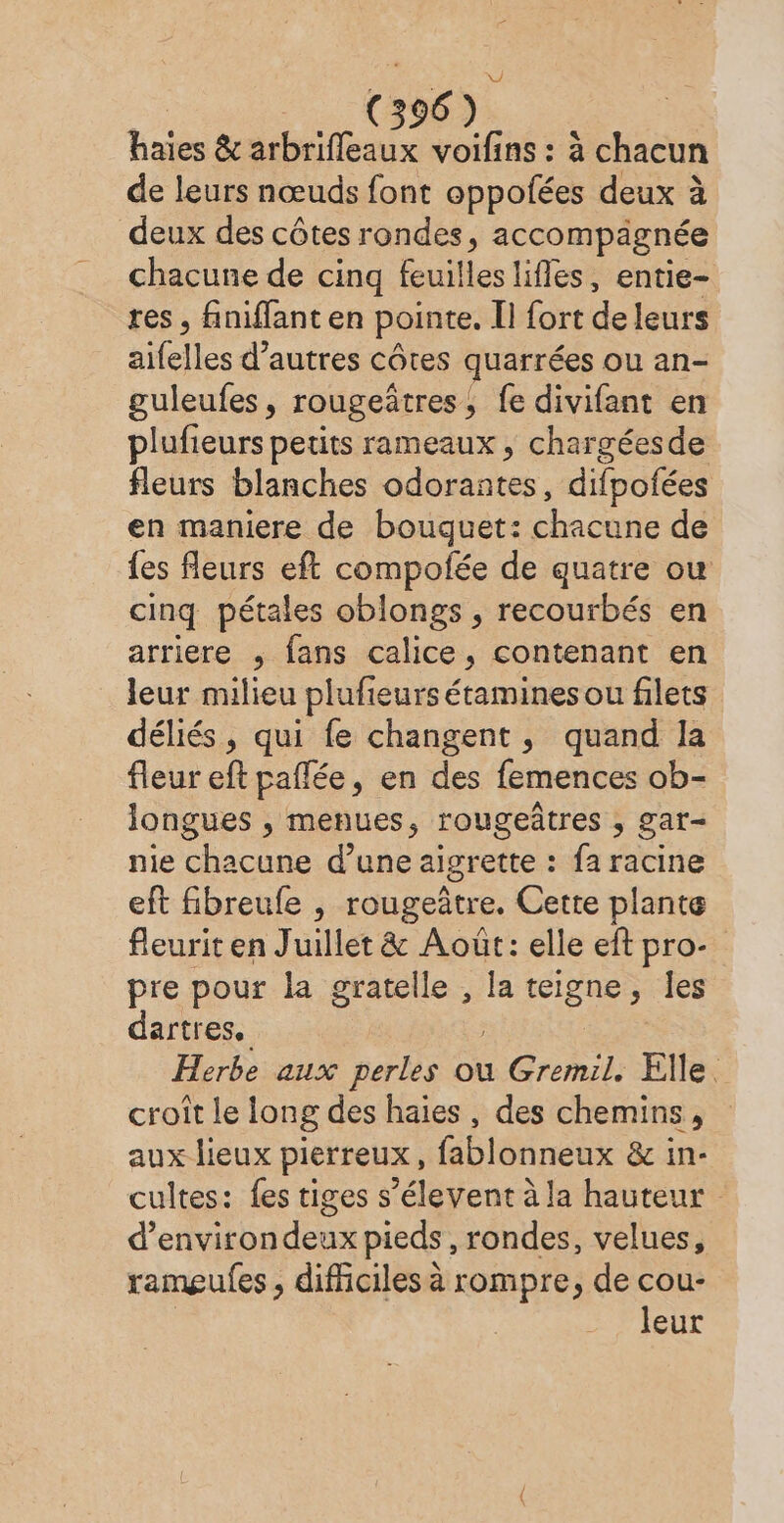 FE &amp; arbrifleaux voifins : à chacun de leurs nœuds font oppofées deux à deux des côtes rondes, accompägnée chacune de cinq feuilles lifles, entie- res, finiffant en pointe, Il fort de leurs sifelles d’autres côtes quarrées ou an- guleufes, rougeätres, fe divifant en plufieurs petits rameaux, chargéesde fleurs blanches odorantes, difpofées en maniere de bouquet: chacune de {es fleurs eft compofée de quatre ou cinq pétales oblongs , recourbés en arriere ,; fans calice, contenant en leur milieu plufieurs étamines ou filets déliés, qui fe changent, quand la fleur eft paffée, en des femences ob- longues , menues, rougeûtres , gar- nie chacune d’une aigrette : fa racine eft fibreufe , rougeâtre. Cette plante fleurit en Juillet &amp; Août: elle eft pro- pre pour la gratelle , la teigne, les dartres, Herbe aux perles ou ane Elle. croît le long des haïes , des chemins, aux lieux pierreux, fablonneux &amp; in- cultes: fes tiges s’élevent à la hauteur d’environdeux pieds, rondes, velues, ramgufes , difficiles à rompre, de cou- leur