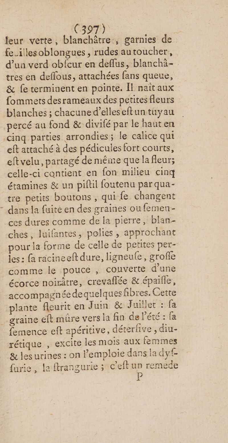 leur verte, blanchâtre., garnies de fe.illes oblongues , rudes autoucher, d’un verd obfcur en deflus, blanchà- tres en deflous, attachées fans queue, &amp; fe terminent en pointe. Îl naïtaux fommets desrameaux des petites fleurs blanches ; chacuned’elleseftun tuyau percé au fond &amp; divifé par le hauten cinq parties arrondies; le calice qui eft attaché à des pédicules fort courts, eftvelu, partagé de même que la fleur; celle-ci contient en fon milieu cinq _étamines &amp; un piftil foutenu par qua- tre petits boutons , qui fe changent - dans la fuite en des graines ou femen- ces dures comme de la pierre, blan- ches, luifantes, polies, approchant pour la forme de celle de petites per- les: fa racineeft dure, ligneule, grofle comme le poucé , couverte d’une écorce noirâtre, crevaflée &amp; épaille, accompagnée de quelques hbres. Cette plante fleurit en Juin &amp; Juiller : fa graine eft mûre vers la fin de été : fa _ femence eft apéritive, déterlive , diu- rétique , excite les mois aux femmes &amp; lesurines : on l’emploie dans la dyt- {urie, la ftrangurie ; c’eft un remede P