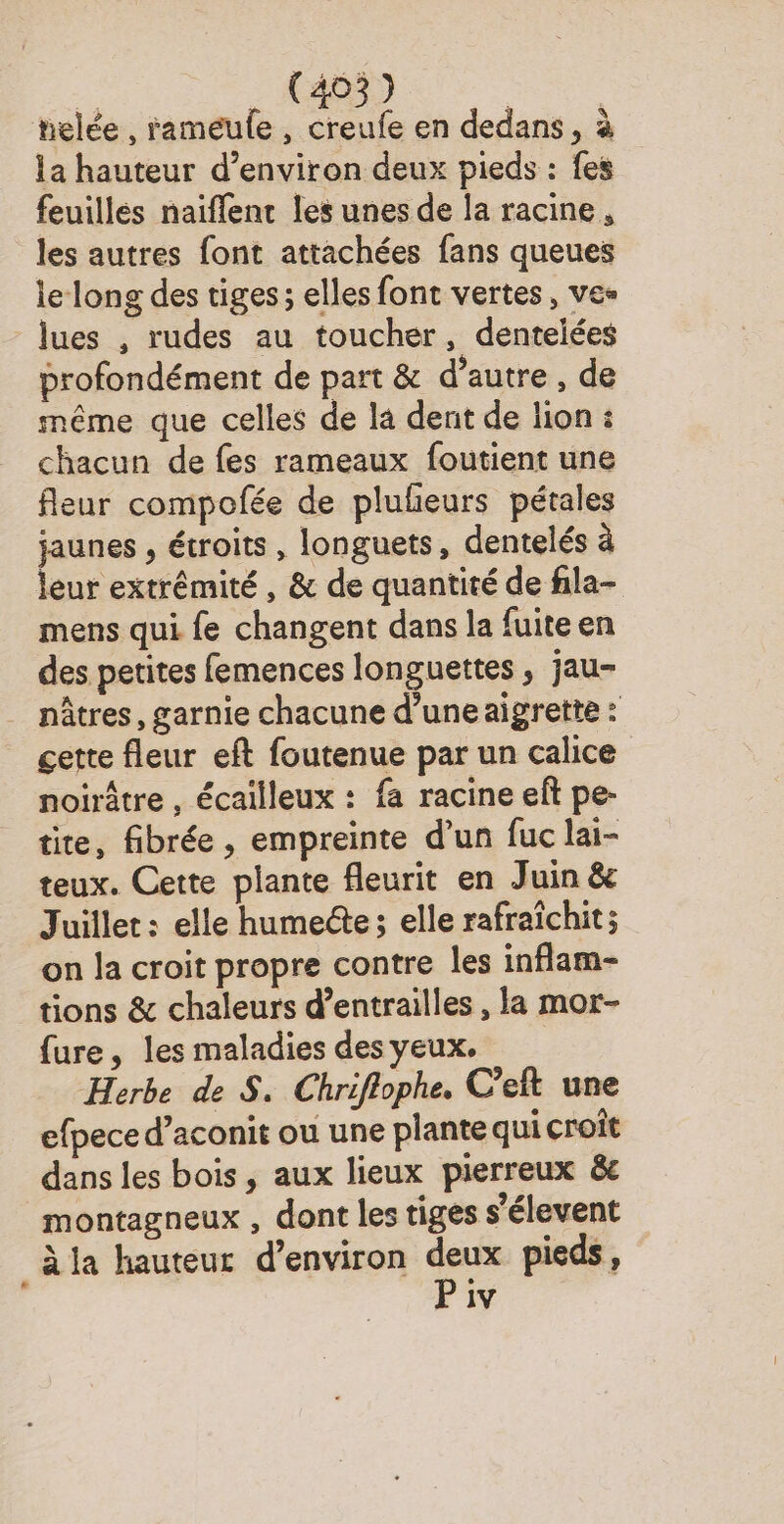 : A helée , raméule, creufe en dedans, à la hauteur d’environ deux pieds : fes feuilles naiflenc les unes de la racine, les autres font attachées fans queues le long des tiges; elles font vertes , ve- lues , rudes au toucher, dentelées profondément de part &amp; d’autre , de même que celles de la dent de lion: chacun de fes rameaux foutient une fleur compofée de pluheurs pétales jaunes , étroits , longuets, dentelés à leur extrémité , &amp; de quantité de fila- mens qui fe changent dans la fuite en des petites femences longuettes , jau- nâtres, garnie chacune d’une aigrette : gette fleur eft foutenue par un calice noirâtre , écailleux : fa racine eft pe- tie, fibrée , empreinte d’un fuc lai- teux. Cette plante fleurit en Juin &amp; Juillet : elle humecte ; elle rafraïîchit ; on la croit propre contre les inflam- tions &amp; chaleurs d’entrailles , la mor- fure, les maladies des yeux. Herbe de S. Chriflophe. C'eft une efpece d’aconit ou une plante qui croît dans les bois, aux lieux pierreux 8e montagneux , dont les tiges s’élevent À la hauteur d’environ se pieds, iv