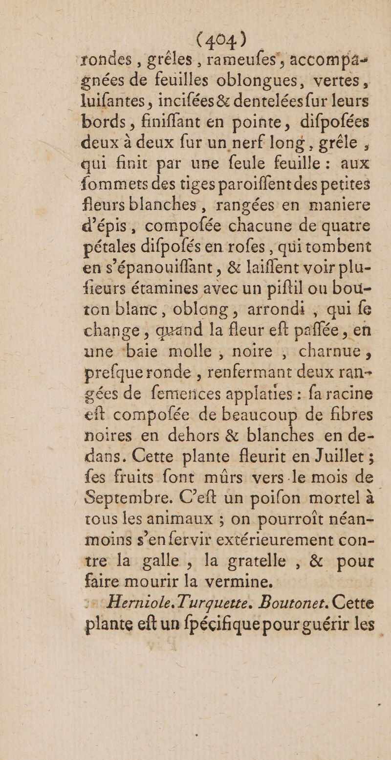 ‘rondes , grêles , rameufes”, accompäs gnées de feuilles oblongues, vertes, _ luifantes, incifées & denteléesfur leurs bords, finiflant en pointe, difpofées deux à deux fur un nerf long, grêle , qui finit par une feule feuille : aux fommers des tiges paroiffentdes petites fleurs blanches , rangées en maniere d’épis, compofée chacune de quatre pétales difpofés en rofes , qui tombent en s’épanouiflant , & laiflent voir plu- fieurs étamines avec un piftil ou bou- ton blanc, oblong, arrondi , qui fe change , quand la fleur eft pañlée , en une “baie molle , noire ; charnue, prefque ronde , renfermant deux ran- gées de femerces applaties : fa racine eft compofée de beaucoup de fibres noires en dehors & blanches en de- dans. Cette plante fleurit en Juillet ; {es fruits font mürs vers le mois de Septembre. C’eft un poifon mortel à tous les animaux ; on pourroît néan- moins s’en {ervir extérieurement con- tre la galle , la gratelle , & pour faire mourir la vermine. :+ Herniole. Turquette. Boutoner. Cette plante eft un fpécifiquepour guérir les
