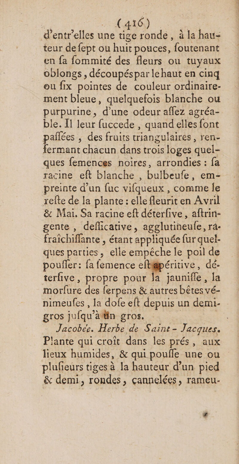 ” Lak6) d’entrelles une tige ronde , à la hau- teur de fept ou huit pouces, foutenant en fa fommité des fleurs ou tuyaux oblongs , découpéspar lehaut en cinq ou fix pointes de couleur ordinaire- ment bleue, quelquefois blanche ou purpurine, d’une odeur aflez agréa- ble. Il leur fuccede , quand elles font ue , des fruits triangulaires , ren- fermant chacun dans trois loges quel- ques femences noires, arrondies : fa racine eft blanche , bulbeufe, em- preinte d’un fuc vifqueux , comme le refte de la plante : elle fleurit en Avril & Mai. Sa racine eft déterfive, aftrin- gente , deflicative, agglutineule, ra- fraichiffante , étant appliquée fur quel- ques parties, elle empêche le poil de poufler: fa femence “EH , dé: terfive, propre pour Ja jaunifle, la morfure des ferpens & autres bêtes vé- nimeufes , la dofe eft depuis un demi- gros jufqu’ain gros, | Us Jacobee. Herbe de Saint - Jacques. lante qui croît dans les prés, aux lieux humides, & qui poufle une ou plufieurs tiges à la hauteur d’un pied & demi, rondes, çannelées, rameu-