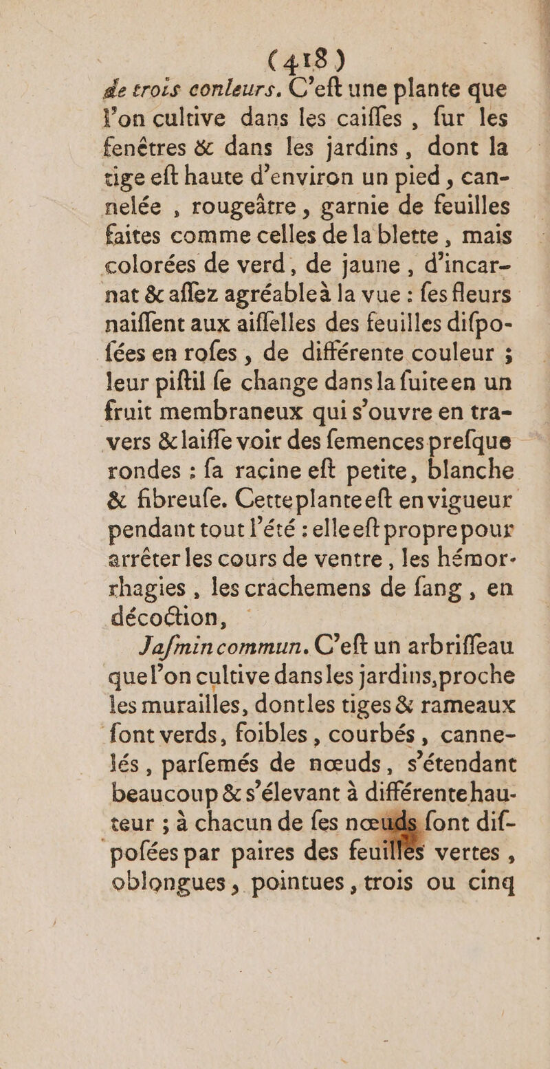 de trois conleurs, C’eft une plante que l’on cultive dans les caifles , fur les fenêtres &amp; dans les jardins, dont la tige eft haute d'environ un pied , can- nelée , rougeâtre , garnie de feuilles faites comme celles de la blette, mais colorées de verd, de jaune, d’incar- nat &amp; aflez agréableà la vue : fes fleurs naiflent aux aiflelles des feuilles difpo- fées en rofes , de différente couleur ; leur piftil fe change dans la fuiteen un fruit membraneux qui s’ouvre en tra- rondes : fa racine eft petite, blanche &amp; fibreufe. Cetteplante eft envigueur pendant tout l'été : elleeft proprepour arrêter les cours de ventre , les hémor- rhagies , les crachemens de fang , en décoction, Jafmin commun. C’eft un arbriffeau que lon cultive dansles jardins, proche les murailles, dontles tiges &amp; rameaux font verds, foibles , courbés, canne- lés , parfemés de nœuds , S'étendant beaucoup &amp; s’élevant à différente hau- teur ; à chacun de fes nœt ‘pofées par paires des feuillés vertes , oblongues, pointues , trois ou cinq ee