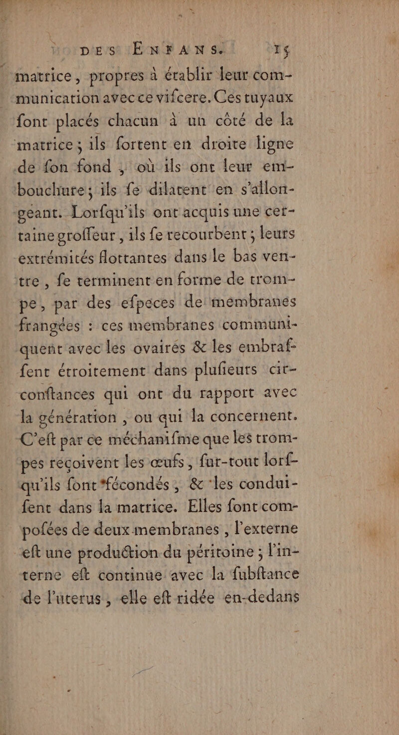 matrice, propres à établir leur com- munication avecce vifcere. Ces tuyaux font placés chacun à un côté de la matrice ; ils fortent en droite ligne de fon fond ; où ils ont leur emi- bouchure; ils fe dilatent en s’allon- géant. Lorfqu'ils ont acquis une cet- taine groffeur , ils fe recourbenr; leurs extrémités flottantes dans le bas ven- tre , fe terminent en forme de trom- pe, par des efpeces dei mémbranés frangées : ces membranes communi- quenñt avec les ovaires & les embraf- fent étroitement dans plufieurs cit- conftances qui ont du rapport avec la génération , ou qui la concernent. C'eft par ce méchanifme que les trom- pes récoivent les œufs, fur-tout lorf- qu'ils font *fécondés, &'les condui- fenc dans la matrice. Elles font com- pofées de deux membranes , l'externe eft une production du péritoine ; Fin- terne eft continue avec la fubftance de l’uterus , elle eft ridée en-dedans