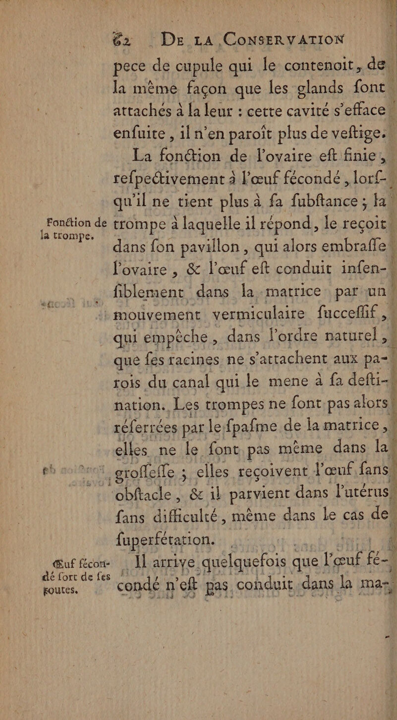 pece de cupule qui le contenoit, de, la mème façon que les glands font. attachés à la leur : cette cavité s’effacen enfuite , il n’en paroît plus de veftige. La fonction de l'ovaire eft finie, refpectivement à l'œuf fécondé , lor£-s qu'il ne tient plus à fa fubftance ; la” Ft trompe à laquelle 1l répond, le reçoit! dans fon pavillon , qui alors St REA TE l'ovaire , &amp; l'œuf eft conduit infen-| fiblement dans la matrice par un : mouvement vermiculaire fuccefif qui empêche , dans l’ordre naturel, que ! fes racines ne s’attachent aux pa- | rois du canal qui le mene à fa defti-# nation. Les trompes ne font pas alors! réferrées par le fpafme de la matrice, | elles ne le font pas mème dans las dde groffeffe à elles reçoivent l'œuf fansu “obftacle .&amp;i PARPÉENE dans l'urérusk fans difficulté, même dans Le cas de fuperférarion. Œuf fécon. Il arrive. quelquefois que l'œuf ei déforrdefes / fours. Condé n'eft pas. conduit, dans la ma