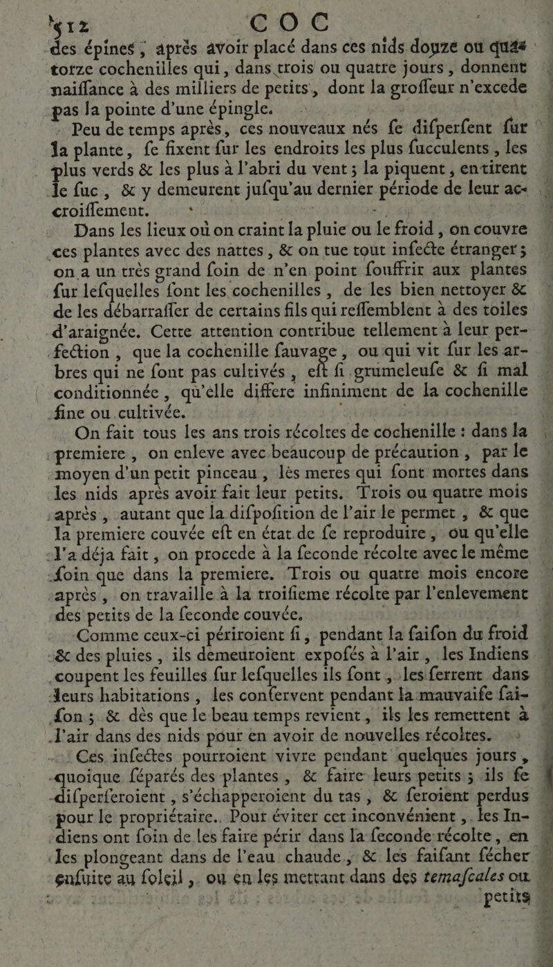 “12 COC torze cocheniiles qui, dans trois ou quatre jours , donnent naiffance à des milliers de petits, dont la groffeur n’excede pas la pointe d’une épingle. G : Peu de temps après, ces nouveaux nés fe difperfent fur da plante, fe fixent fur les endroits les plus fucculents , les plus verds &amp; les plus à l'abri du vent ; la piquent , entirent Je fuc, 8 y demeurent jufqu’au dernier période de leur ac- croiflement. | SNS x: }&amp;ù Dans les lieux où on craint la pluie ou le froid , on couvre ces plantes avec des nattes , &amp; on tue tout infeéte étranger ; on a un très grand foin de n’en point fouffrir aux plantes fur lefquelles font les cochenilles , de les bien nettoyer &amp; de les débarraffer de certains fils qui reflemblent à des toiles d’araignée. Cette attention contribue tellement à leur per- fection , que la cochenille fauvage, ou qui vit fur les ar- bres qui ne font pas cultivés, eft fi .grumeleufe &amp; fi mal conditionnée , qu'elle differe infiniment de la cochenille fine ou cultivée. | On fait tous les ans trois récoltes de cochenille : dans la premiere, on enleve avecbeaucoup de précaution, par le moyen d’un petit pinceau, lès meres qui font mortes dans les nids après avoir fait leur petits. Trois ou quatre mois après, autant que la difpofition de l’airle permet , &amp; que la premiere couvée eft en état de fe reproduire, ou qu'elle -l'a déja fait , on procede à la feconde récolte avec le même Æoin que dans la premiere. Trois ou quatre mois encore après, on travaille à la troifieme récolte par l’enlevement des petits de la feconde couvée. | Comme ceux-ci périroient fi, pendant la faifon du froid -&amp; des pluies , ils demeuroient expofés à l’air, les Indiens coupent les feuilles fur lefquelles ils font ; les ferrent dans eurs habitations , les confervent pendant la mauvaife fai- on; &amp; dès que le beau temps revient, ils les remettent à J'air dans des nids pour en avoir de nouvelles récoites. Ces infectes pourroient vivre pendant quelques jours , -quoique féparés des plantes, &amp;c faire leurs petits ; ils fe -difperferoient , s'échapperoïent du tas, &amp; feroïent perdus pour le propriétaire. Pour éviter cet inconvénient , . les In- -diens ont foin de les faire périr dans la feconde récolte, en gnfuite au foleil . ou en les mettant dans des remafcales où