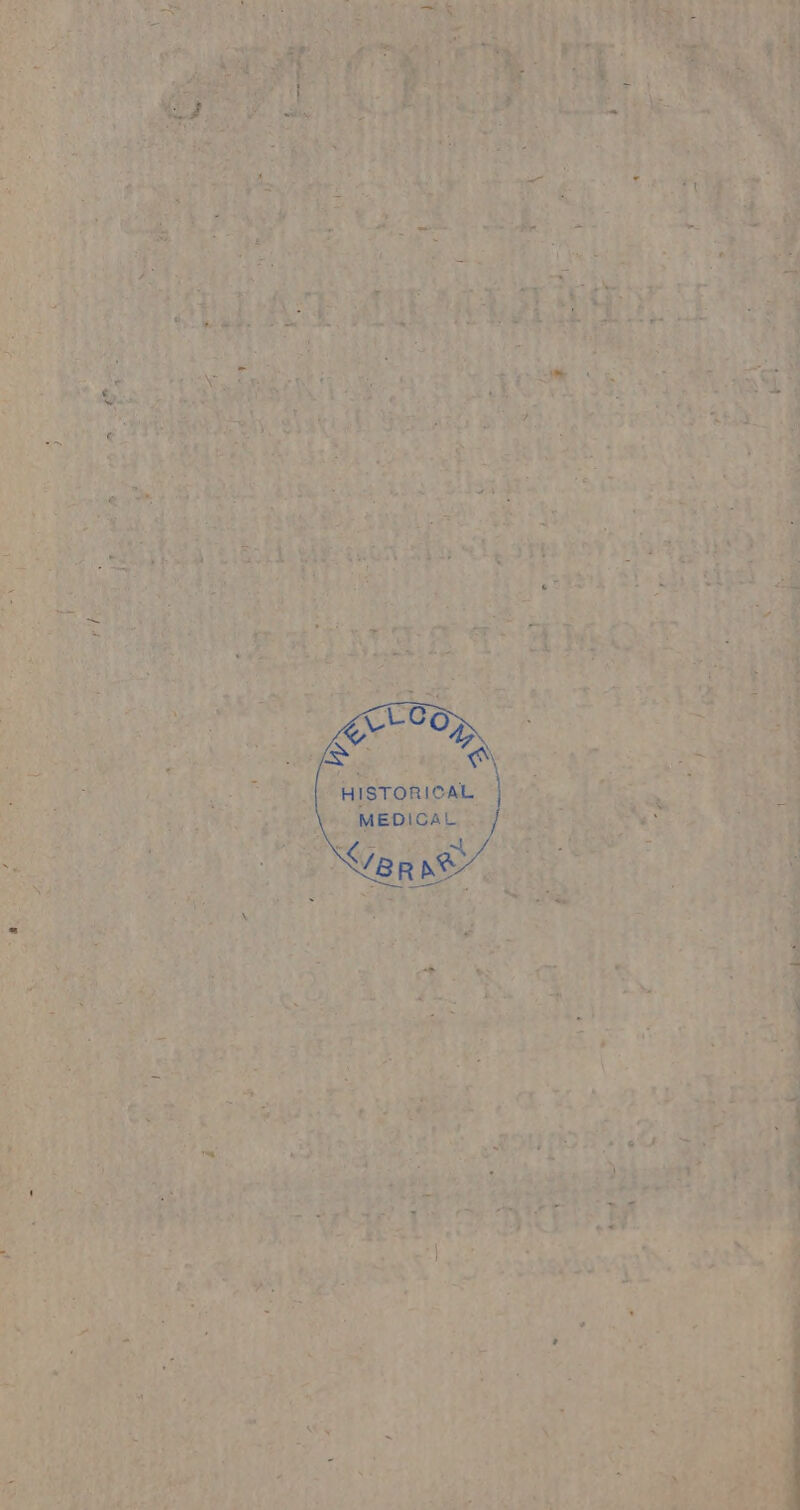 ai FLE (50e CL VER ‘ a A dar * + | + . va À 4 Pe 2] ANR * L2 PRES Ër-