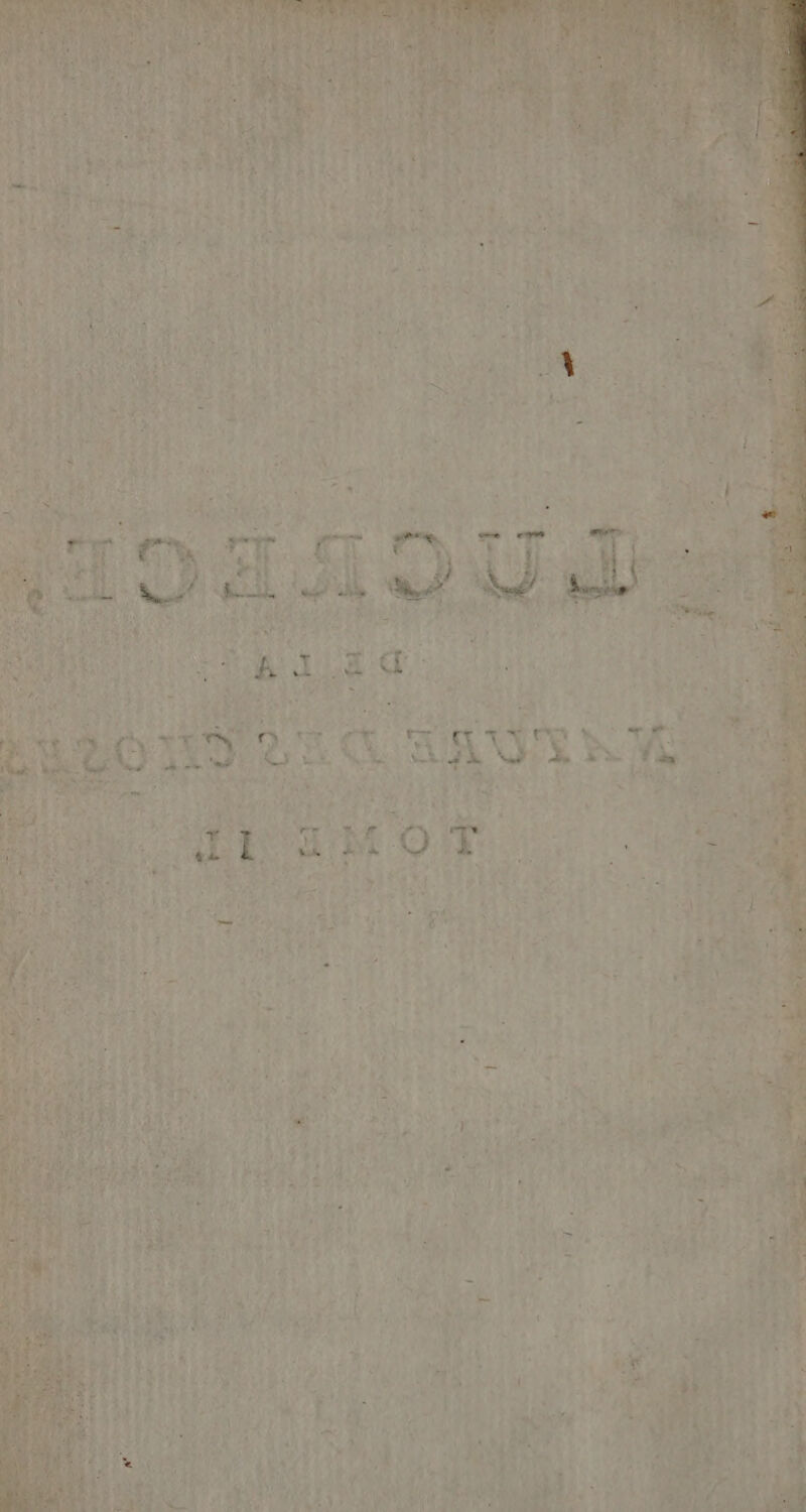 c. ^ r 'Y *oy D p e re Ne ju | L4 p