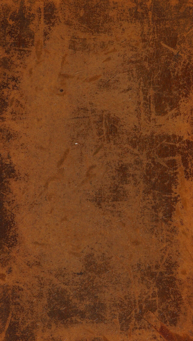 digitised image 1