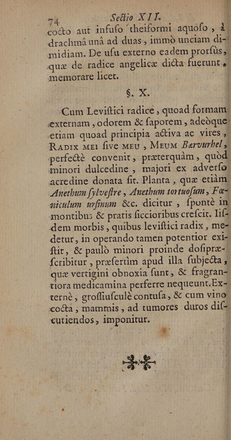 pi Sedo XI y emu un : coto aut infufo 'theiformi aquofo , à. drachmá uná ad. duas , immó unciam di- midiam. De ufu externo eadem prorfüs y. quz de radice angelice dida fuerunt. memorare licet. - $. X. Cum Leviftici radice , quoad formam. externam , odorem & faporem , adeoque: etiam quoad principia activa ac vires, Raprix Mz five Meu , MeuM Bervtmrhel y perfeáe convenit, przterquàm , quod. iinori dulcedine , majori ex adverfo. acredine donata fit. Planta , quz edaàm. Anetbum fylveftre , Auethum tortuofum , Fa aiculum urfmum: &c. dicitur , fponté in montibus & pratis ficcioribus crefcit. I1if-. dem morbis , quibus leviftici radix , me- detur, in operando tamen potentior exi- füt, & pauló minori proinde dofiprz- fcribitur , przfertim apud illa fubjecta quz vertigini obnoxia funt, & fragran- tiora medicamina perferre nequeunt.Ex-. terne , groffiufculé contufa, & cum vino cocta , mammis , ad tumores duros dif-. «utiendos, imponitur. : be