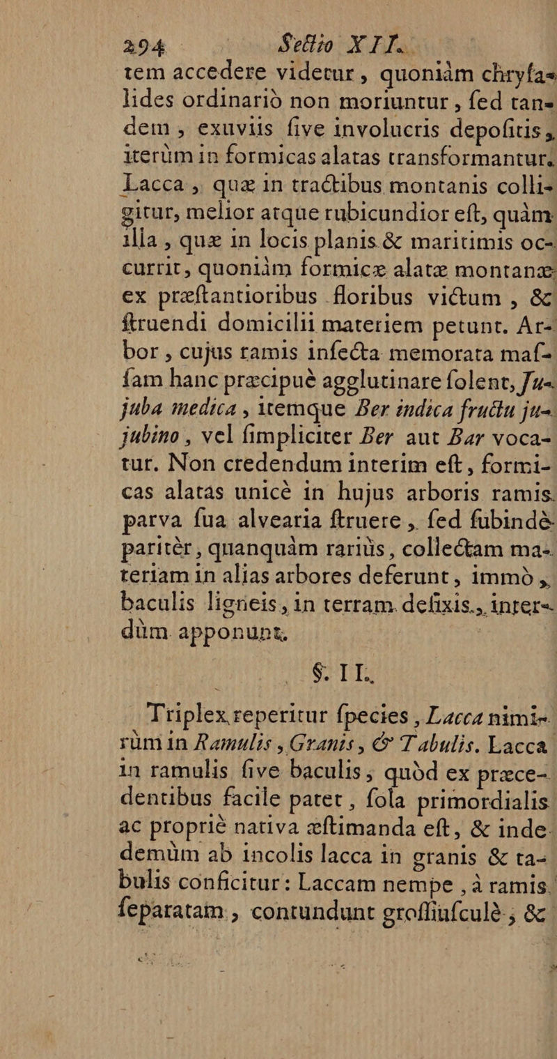 tem accedere videtur, quoniàm chryfas lides ordinarió non moriuntur , fed tan- dem, exuviis five involucris depofitis , ierüm in formicas alatas transformantur. Lacca, qua in tractibus montanis colli- gitur, melior atque rubicundior eft, quàmr illa , quz in locis planis &amp; maritimis oc- currit, quoniàm formicz alat montana ex praftantioribus floribus victum , &amp; ftruendi domicilii materiem petunt. Ar-. bor , cujus tamis infecta memorata maf- íam hanc precipue agglutinare folent, fu« juba medica , vwemque Ber indica frudiu ju-. jubino , vel fimpliciter Ber. aut Bar voca- tur. Non credendum interim eft , formci- cas alatas unicé in hujus arboris ramis. parva fua alvearia ftruere ,. fed fubindé- paritér , quanquàm rariüis , collectam ma-. teriam in alias atbores deferunt, immo ,, baculis ligneis, in terram. defixis., inter-- düm apponunt. HESPEBTS Triplex reperitur fpecies , Lacca nimi- rümin Ramulis , Grants , &amp; Tabulis. Lacca. 1n ramulis five baculis , quód ex przce-. dentibus facile patet , fola primordialis. àc proprie nativa zftimanda eft, &amp; inde: demüm ab incolis lacca in granis &amp; ta- bulis conficitur: Laccam nempe ,à ramis. feparatam., contundunt grofliafcule-; &amp; ri