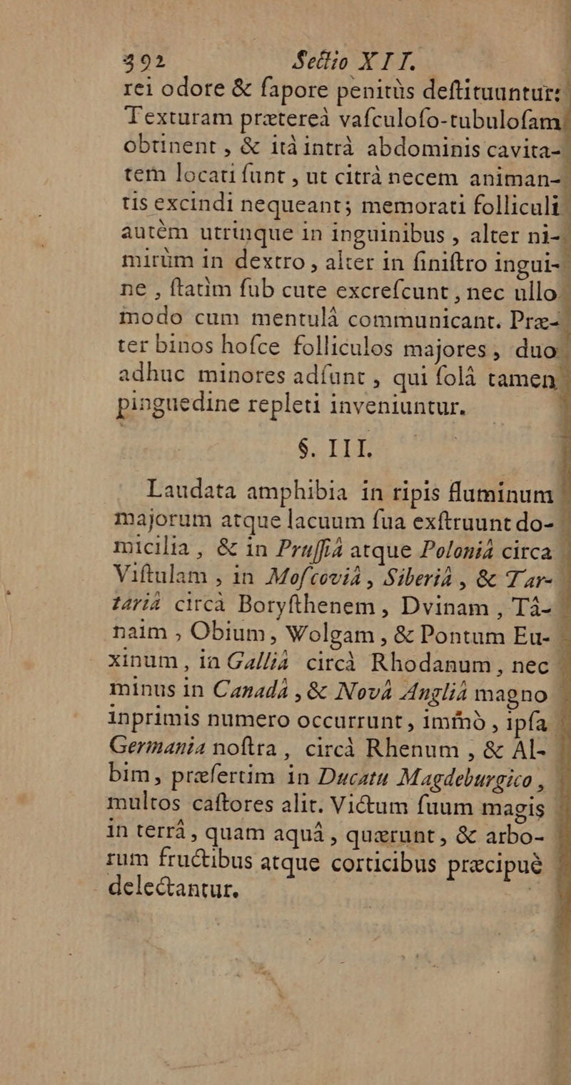 492 Set; XII. | rei odore &amp; fapore penitüs deftituuntur: Texturam prztereà vafculofo-tubulofam obtinent , &amp; ità intrà abdominis cavita- tem locati funt , ut citrà necem animan- | tis excindi nequeant; memorati folliculi. autém utrinque in inguinibus , alter nig mirüm in dextro , alter in finiftro ingul-- ne , ftatim fub cute excrefcunt , nec ullo. iodo cum mentulà communicant. Pra- ter binos hofce folliculos majores , duo. adhuc minores adíunt , qui folà tamen. pinguedine repleti inveniuntur. 8. IIT. Laudata amphibia in ripis fluminum majorum atque lacuum fua exftruunt do- | micilia, &amp; in Pruffiá atque Polonia circa | Viftulam , in Mofcovia , Siberia , &amp; Tar- | naim ; Obium, Wolgam , &amp; Pontum Eu- | xinum, ia Ga//ià. circà Rhodanum, nec - minus in Canadá , &amp; Nov4 Angliá magno | inprimis numero occurrunt , imfno, ipfa | Germania noftra, circà Rhenum , &amp; AL- bim, praefertim in Ducatu Magdeburgico , multos caftores alit. Victum fuum magis in terrà , quam aquáà, quxrunt, &amp; arbo- - rum fructibus atque corticibus precipue | - dele&amp;antur. j