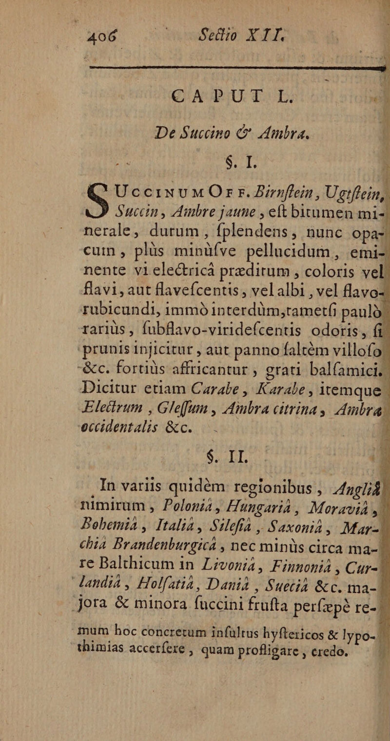 CwoE om nd XOT F Bu QA SU. E; * De Succino &amp; Ambra. : sp Wide 1 . 1 UcciNUMOr r. Azrnflein , Ugtflein,. Succin , Ambre jaune , eft bitumen mi- nerale, durum, fplendens, nunc opa- cum , plis minüíve pellucidum, emi- nente viele&amp;ricà preditum , coloris vel flavi,aut flavefcentis , vel albi , vel flavo rubicundi, immó interdüm,rametfi pauló rariüs , fubflavo-viridefcentis odoris, fi prunis injicitur , aut panno faltém villofo. -&amp;c. fortiüs affricantur , grati balfamici.. Dicitur etiam Carabe , Karalbe, itemque. Eleitrum , Gle[fum , Ambra citrina, Ambra eccdentalis &amp;c..— | r SELL. ig In variis quidém regionibus , Angli, aumirum , Polonia , Hungaria, Moravia 4 Bobemia , Italia, Silefia , Saxonia, Mar-! . A . A . * : chia Brandenburgica , nec minüs circa ma-) re Balthicum in. Livosia, Finnonià , Cur-| ^ A * A  y * » $ landi4 , Holfatia, Dania , Suetia &amp;c. ma- 1 jora &amp; minora fuccini frufta perfzpé re-.- mum hoc concretum infültus hyftericos &amp; lypo- thimias acceríere , quam profligare , credo.