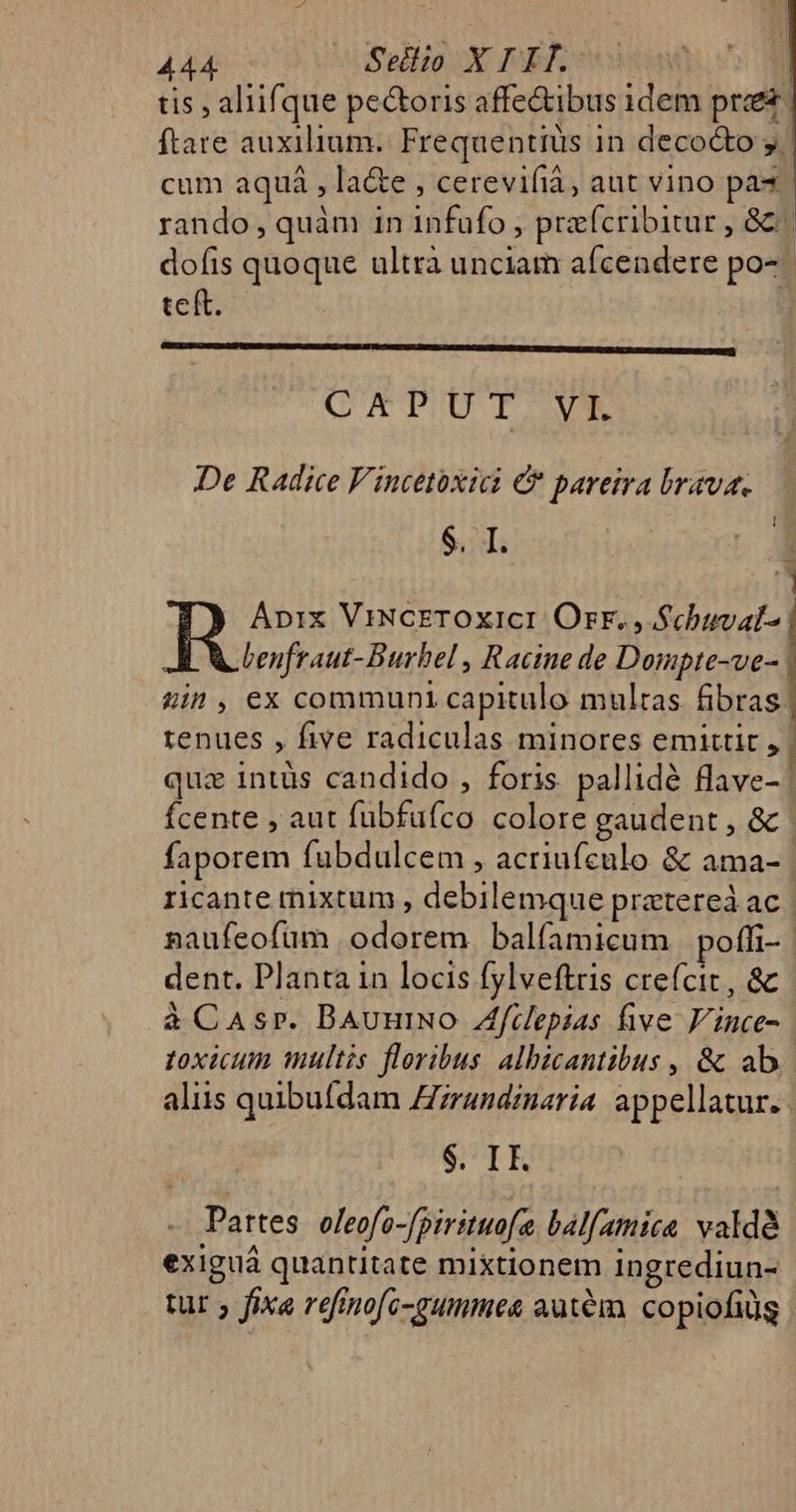 tis , aliifque pe&amp;oris affe&amp;ibus idem pre ftare auxilium. Frequentiüs in decocto y. cum aquà , la&amp;e , cerevifià, aut vino pas rando , quàm 1n infufo , prafcribitur , GC dofis quoque ultrà unciam aícendere po- teft. KREIGPCPITPBOPTHOPPRUUE P PAPROPEPIREEPSEENEE) CAPUT VI. De Radice Vincetoxici € pareira brava. $. I. mc RR Apix ViNcETOXICI Orr. , Schuvat-^ benfraut-Burbel , Racine de Dompte-ve- &amp;in, ex communi capitulo multas fibras tenues , five radiculas minores emittit , | quz intüs candido , foris pallidé flave- | fcente , aut fubfufco colore gaudent, &amp; faporem fubdulcem , acriufceulo &amp; ama- | ricante mixtum , debilemque pratereà ac | naufeofum odorem balfamicum poffi-- dent. Planta in locis fylveftris crefcit, &amp; à CAsr. BAuuiNo Afeilepias five F'ince- | toxicum multis floribus. albicantibus , &amp; ab aliis quibufdam Zzrandinaria appellatur. . STE Partes eleofo-[pirituofa. balfamica valdé exiguá quantitate mixtionem ingrediun- tur » fixa refinofc-aummes aut&amp;m copiofiüg